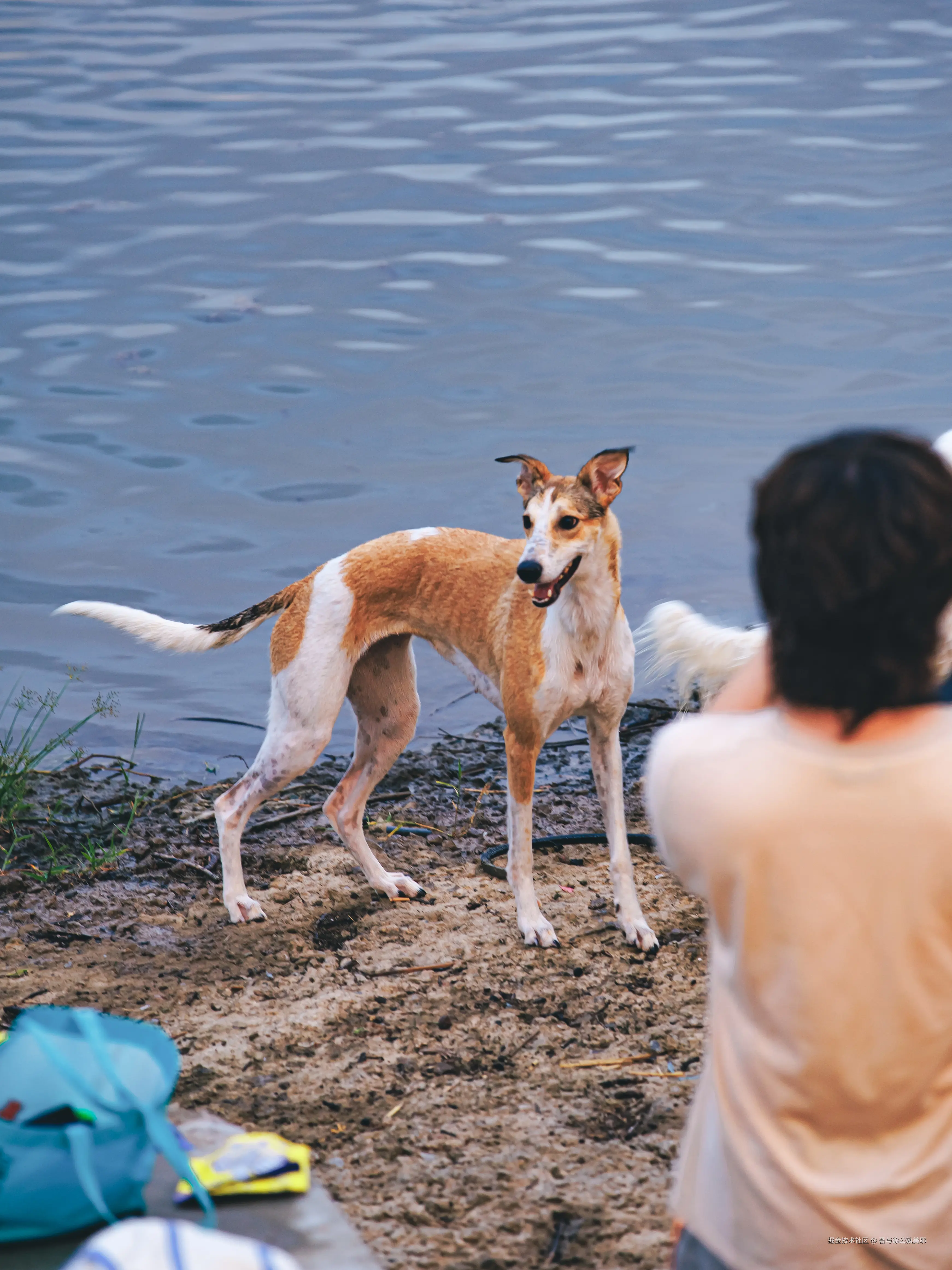 吾与徐公孰美耶于2025-09-04 14:13发布的图片