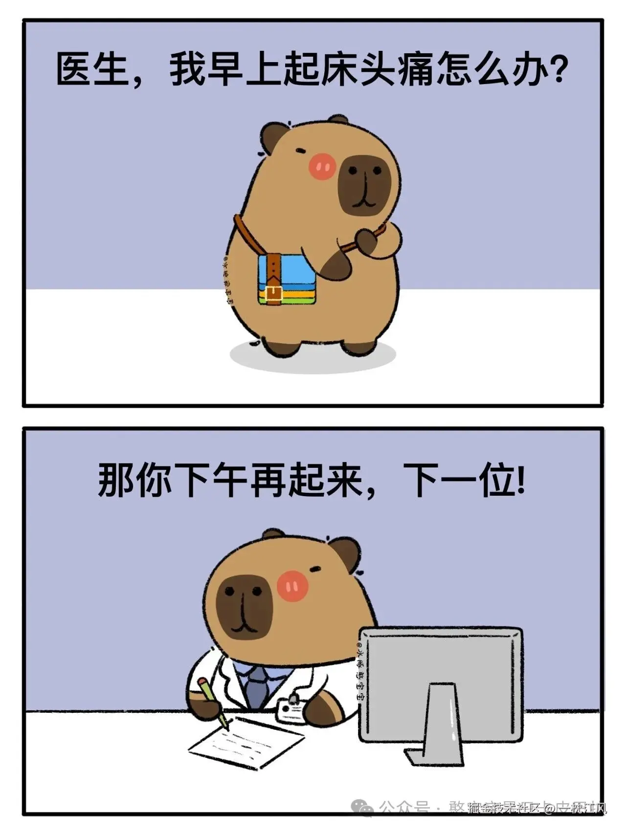 一枕江风于2026-02-03 11:14发布的图片