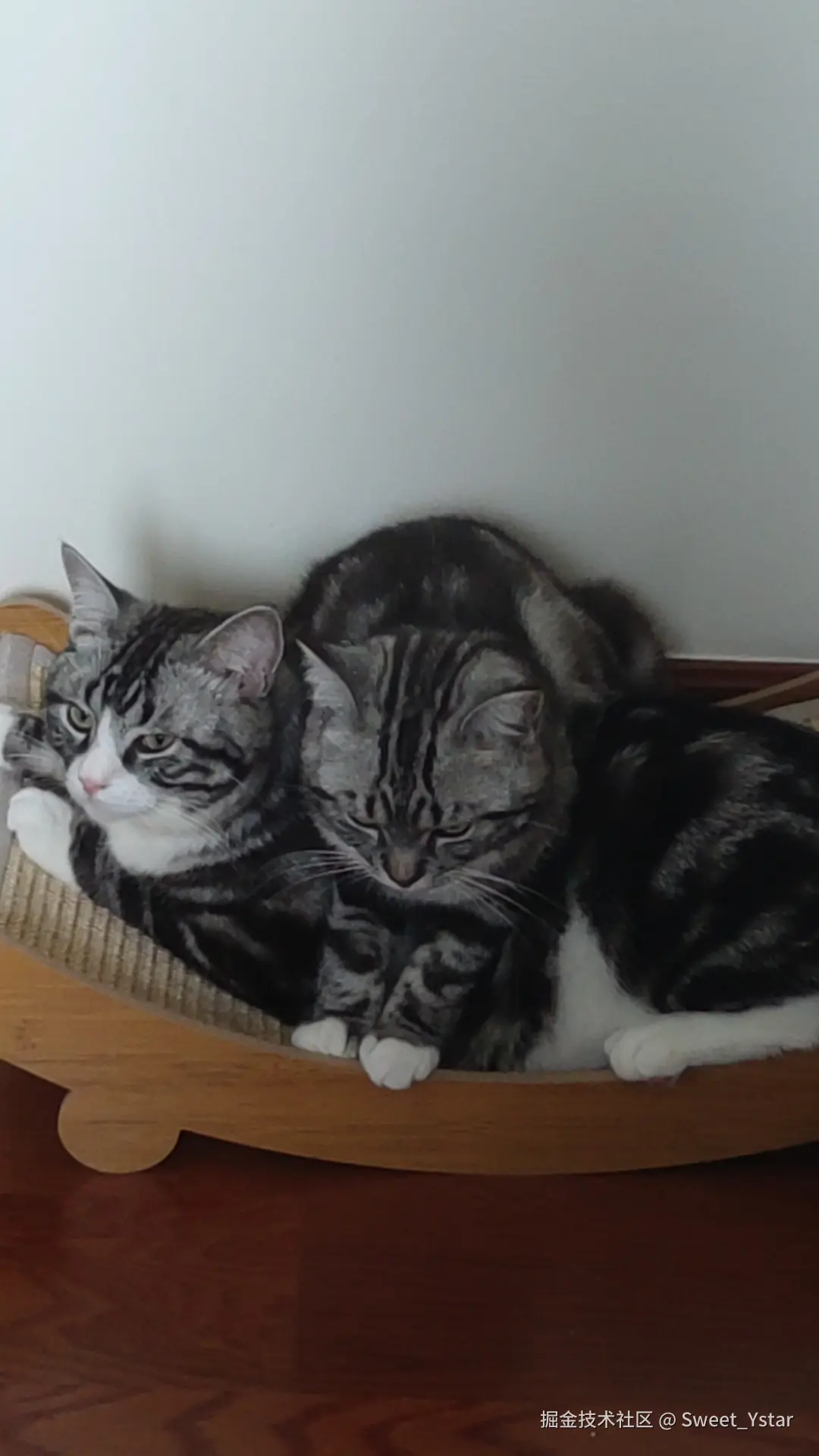 Sweet_Ystar于2026-02-13 15:57发布的图片