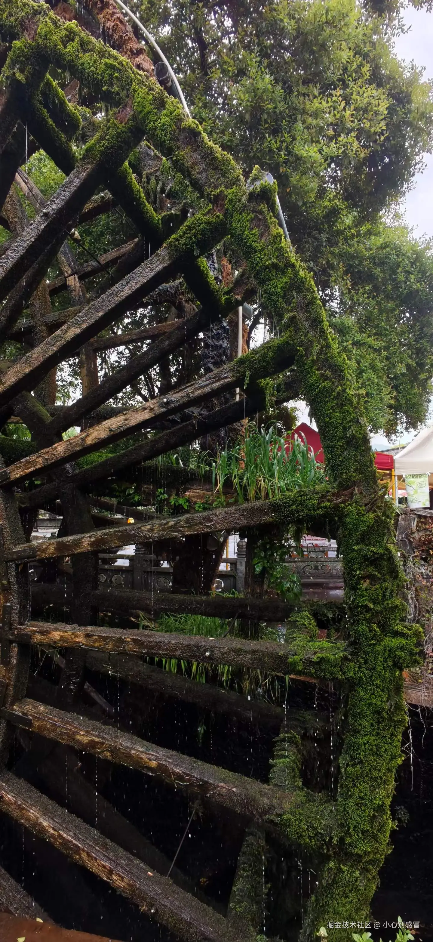 小心别感冒于2026-03-31 09:13发布的图片