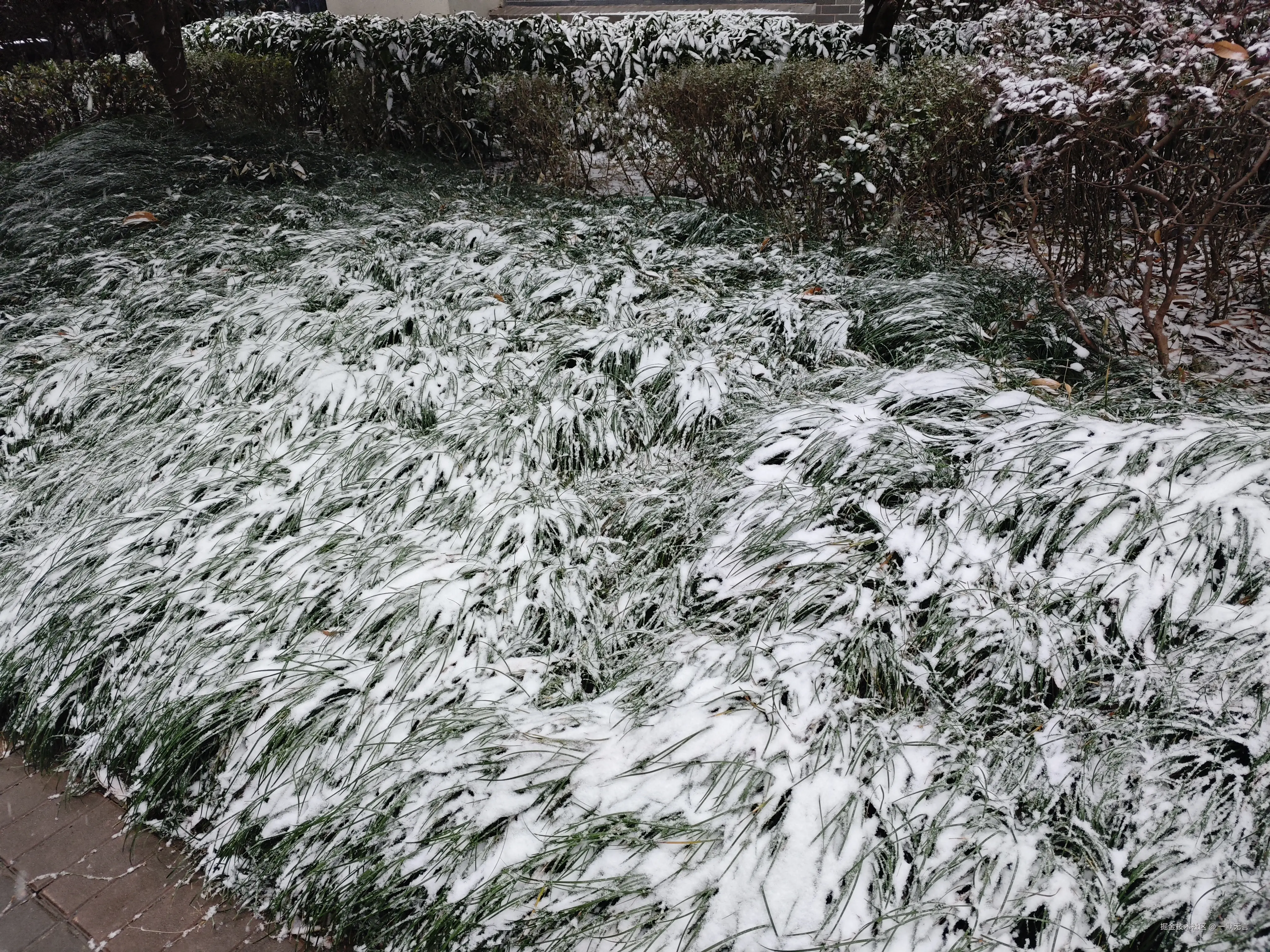 一默无言于2026-01-20 16:09发布的图片