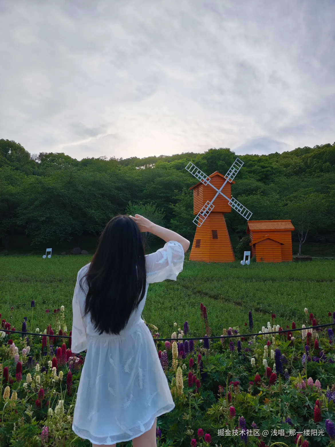 浅唱_那一缕阳光于2025-04-22 09:53发布的图片