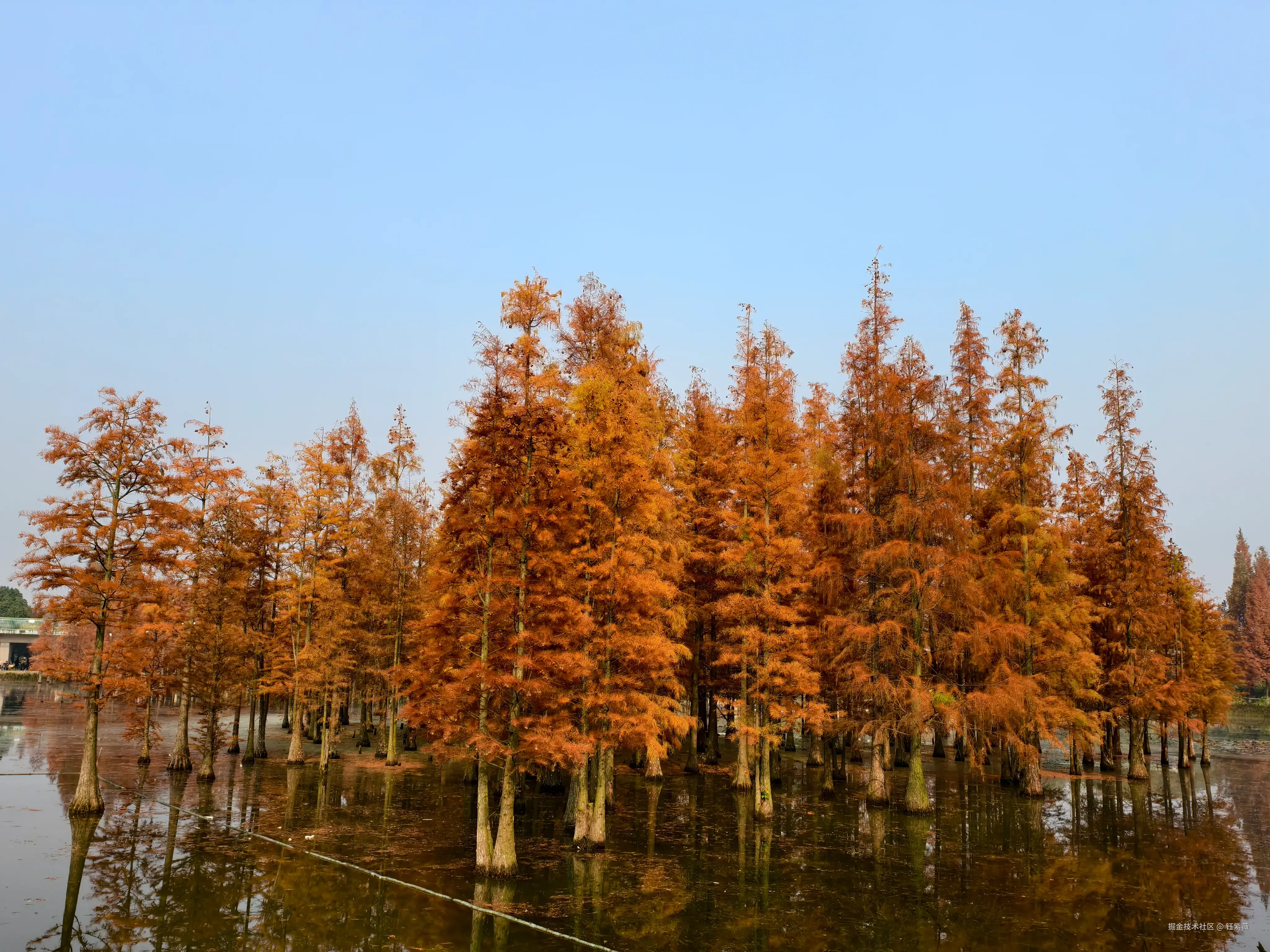 钰紫薇于2025-12-01 01:42发布的图片