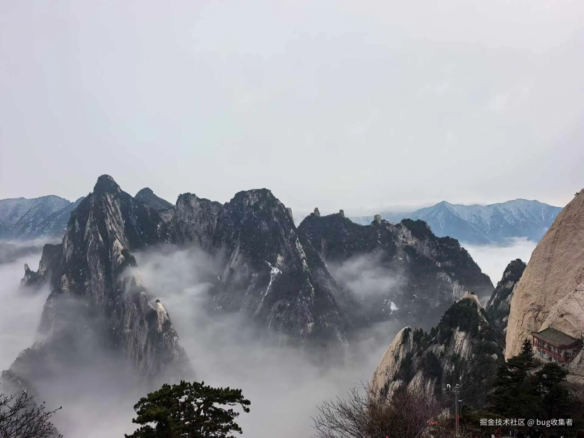 bug收集者于2026-03-09 08:27发布的图片