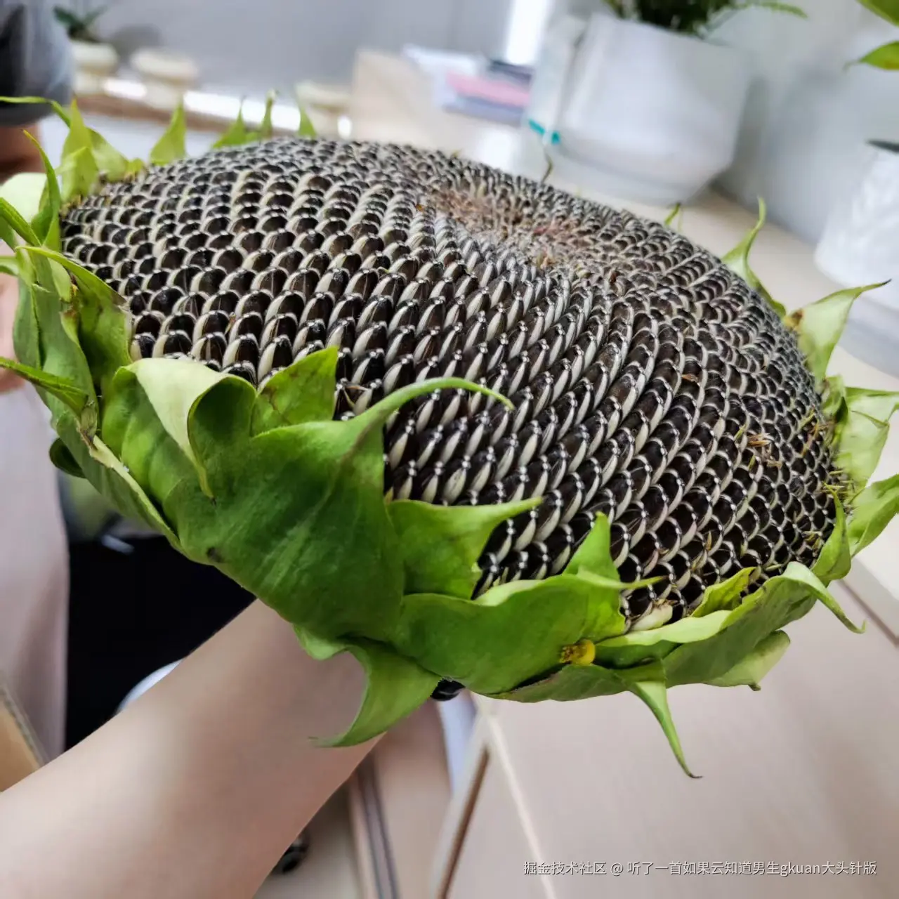 听了一首如果云知道男生gkuan大头针版于2025-07-15 09:33发布的图片