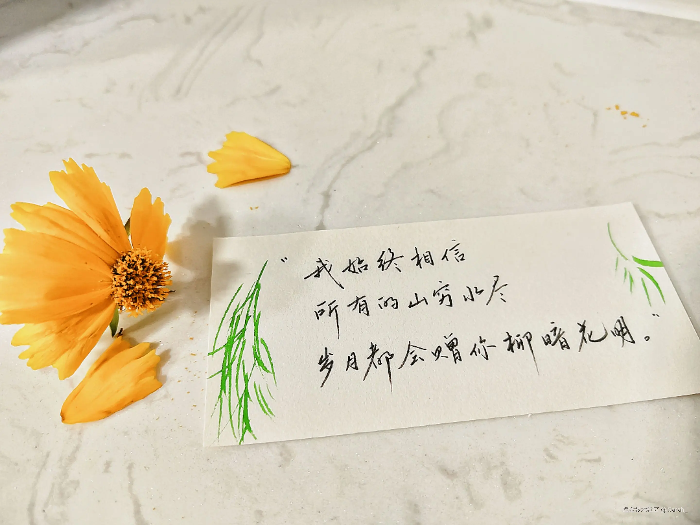 Sarah_于2025-05-28 08:33发布的图片