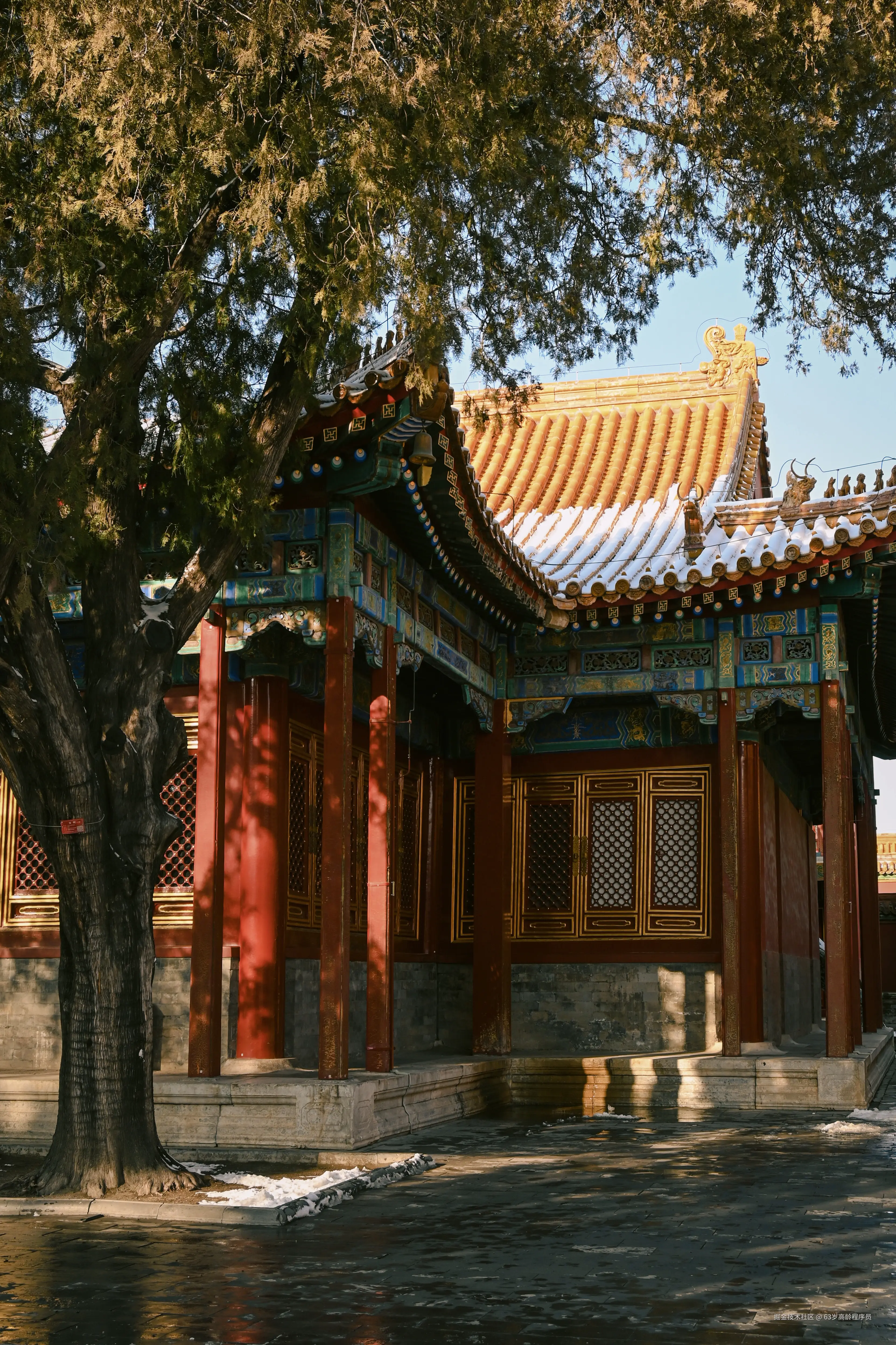 63岁高龄程序员于2025-12-19 09:23发布的图片