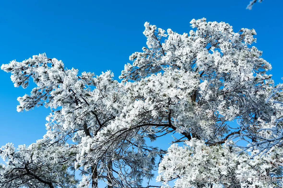 阿飞只想摸鱼于2026-02-11 14:33发布的图片