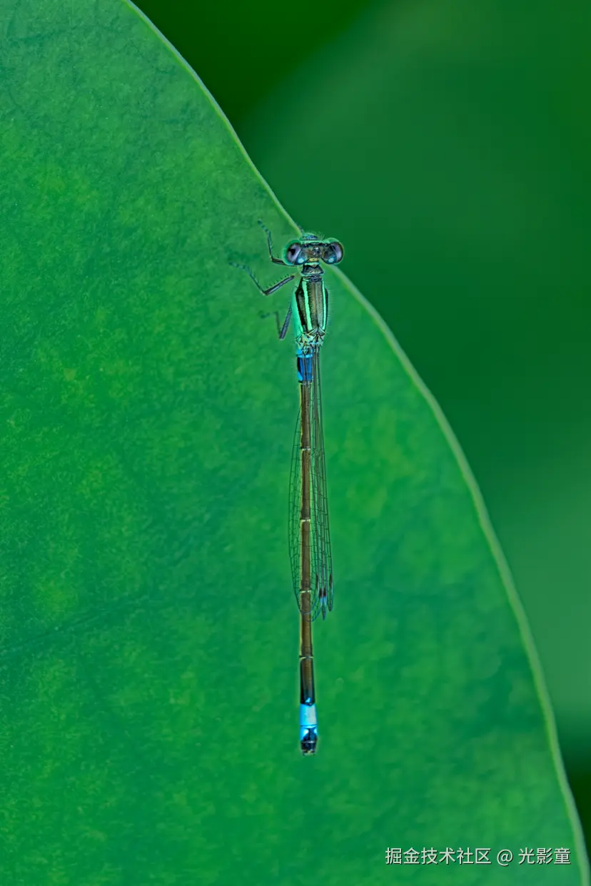 光影童于2025-06-30 06:43发布的图片