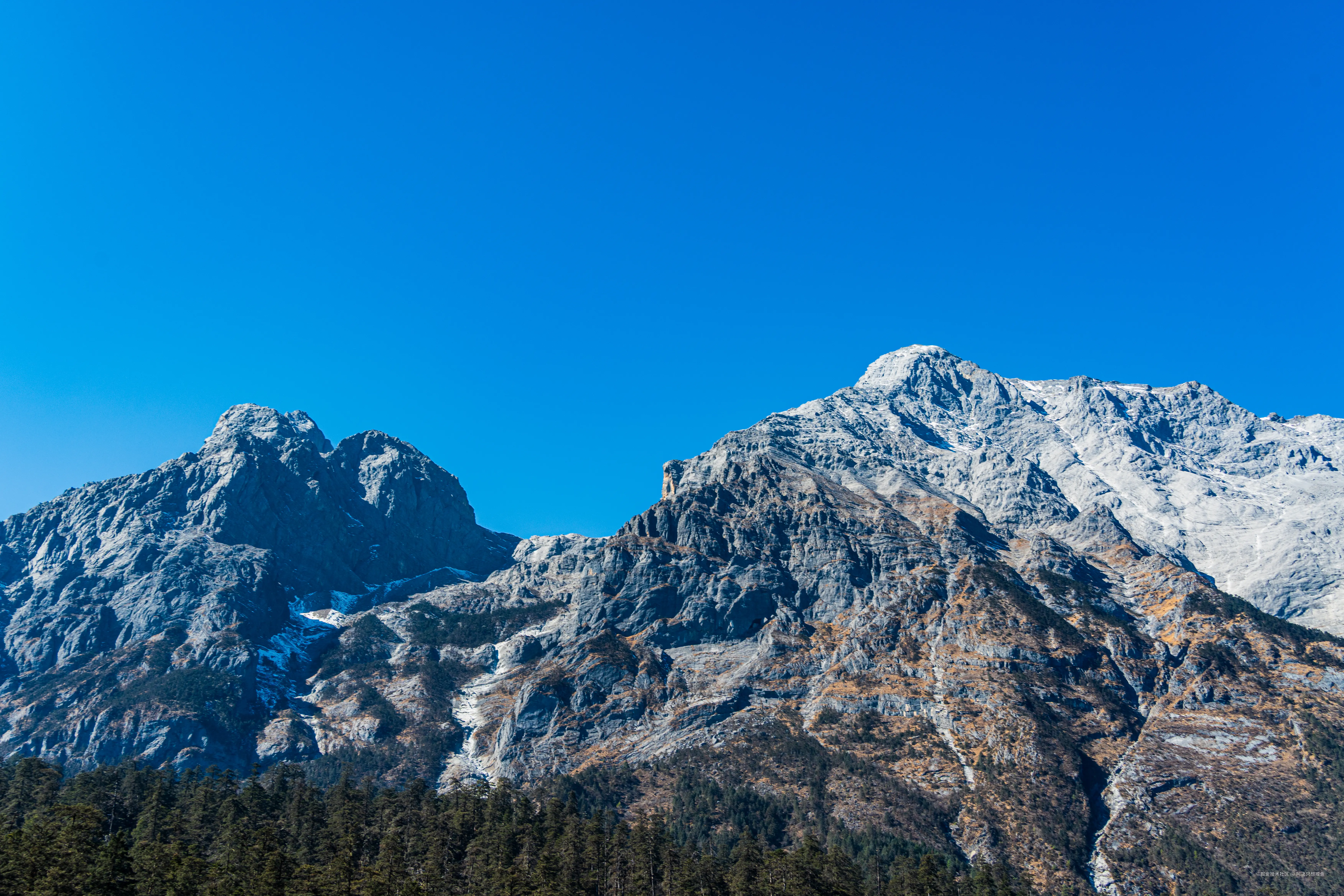 阿飞只想摸鱼于2026-02-11 14:53发布的图片