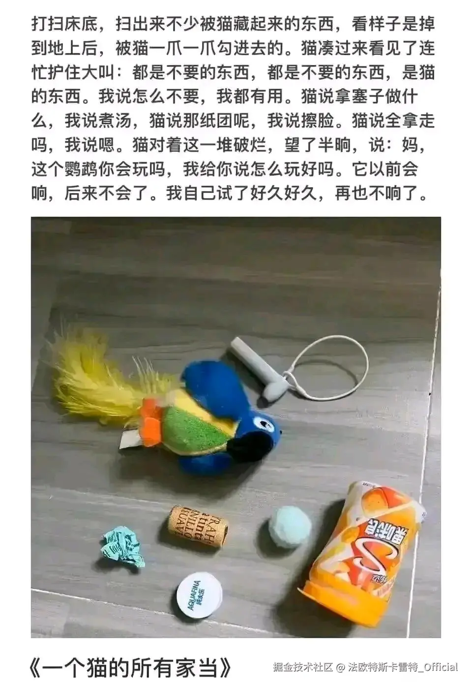 法欧特斯卡雷特_Official于2025-07-11 10:46发布的图片