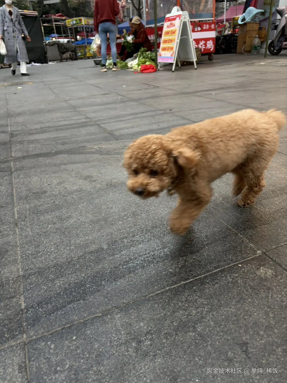 单纯_稀饭于2026-03-12 17:25发布的图片