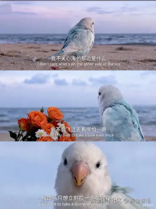 掘金卷毛于2025-10-24 10:12发布的图片