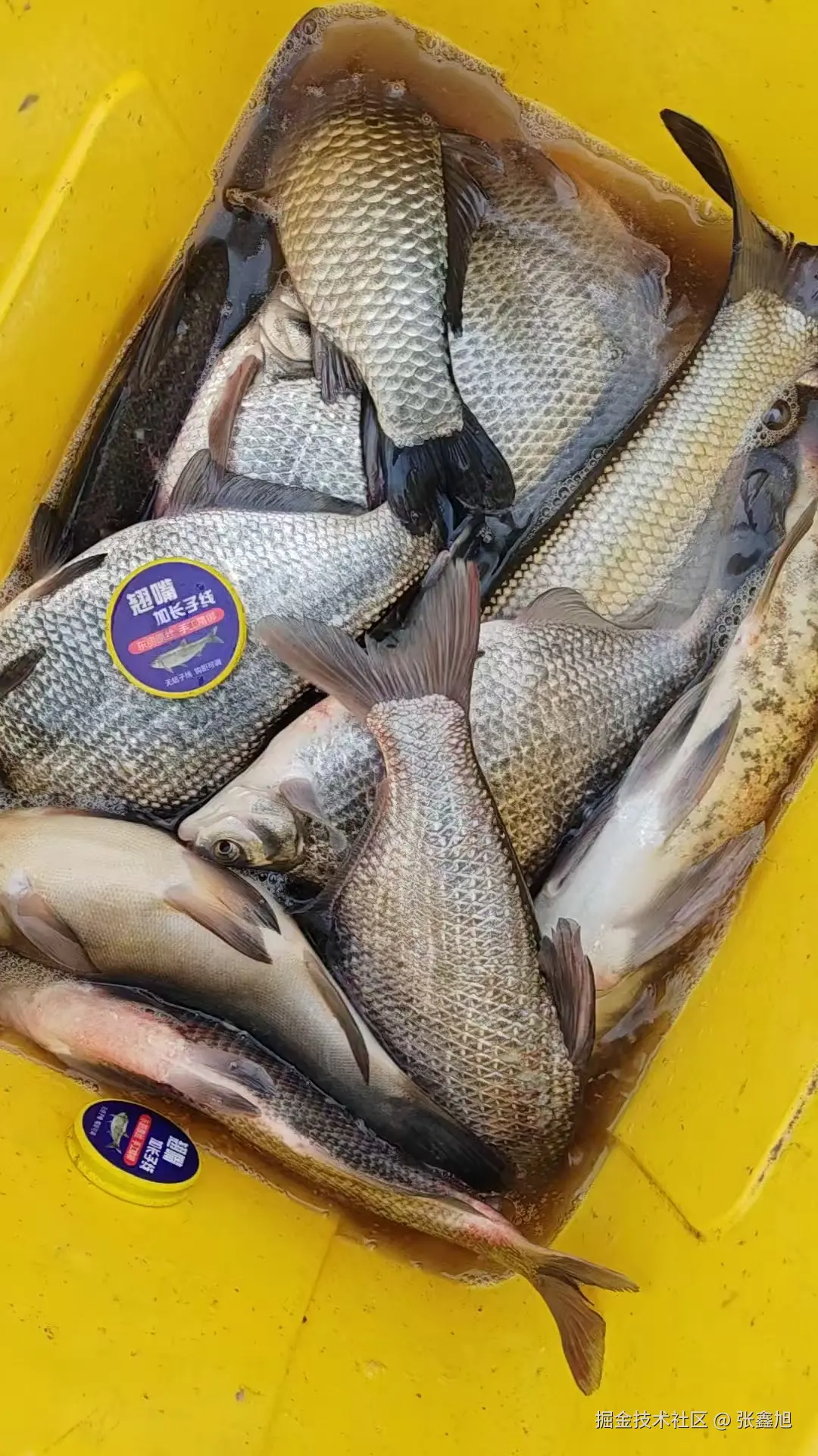 张鑫旭于2025-03-17 15:04发布的图片