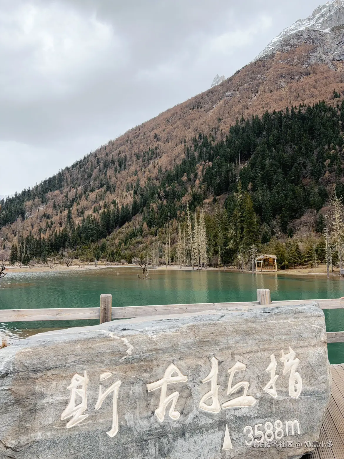 奶盖小多于2026-04-21 16:29发布的图片