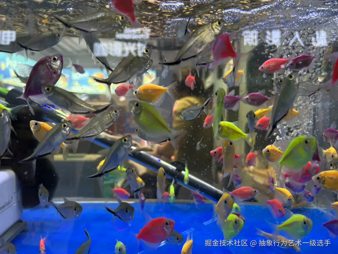 抽象行为艺术一级选手于2026-02-04 10:33发布的图片