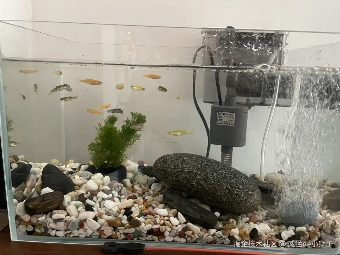 威猛de小狮子于2025-05-21 07:47发布的图片