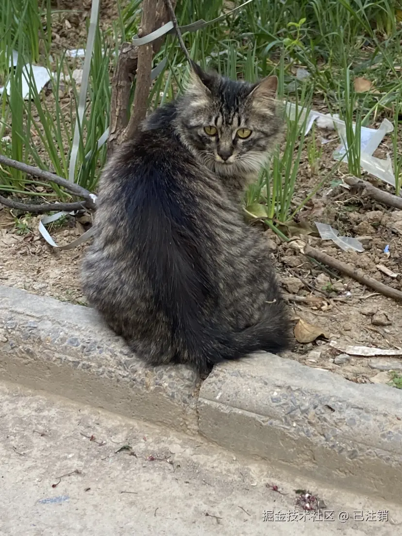 已注销于2025-04-06 11:58发布的图片