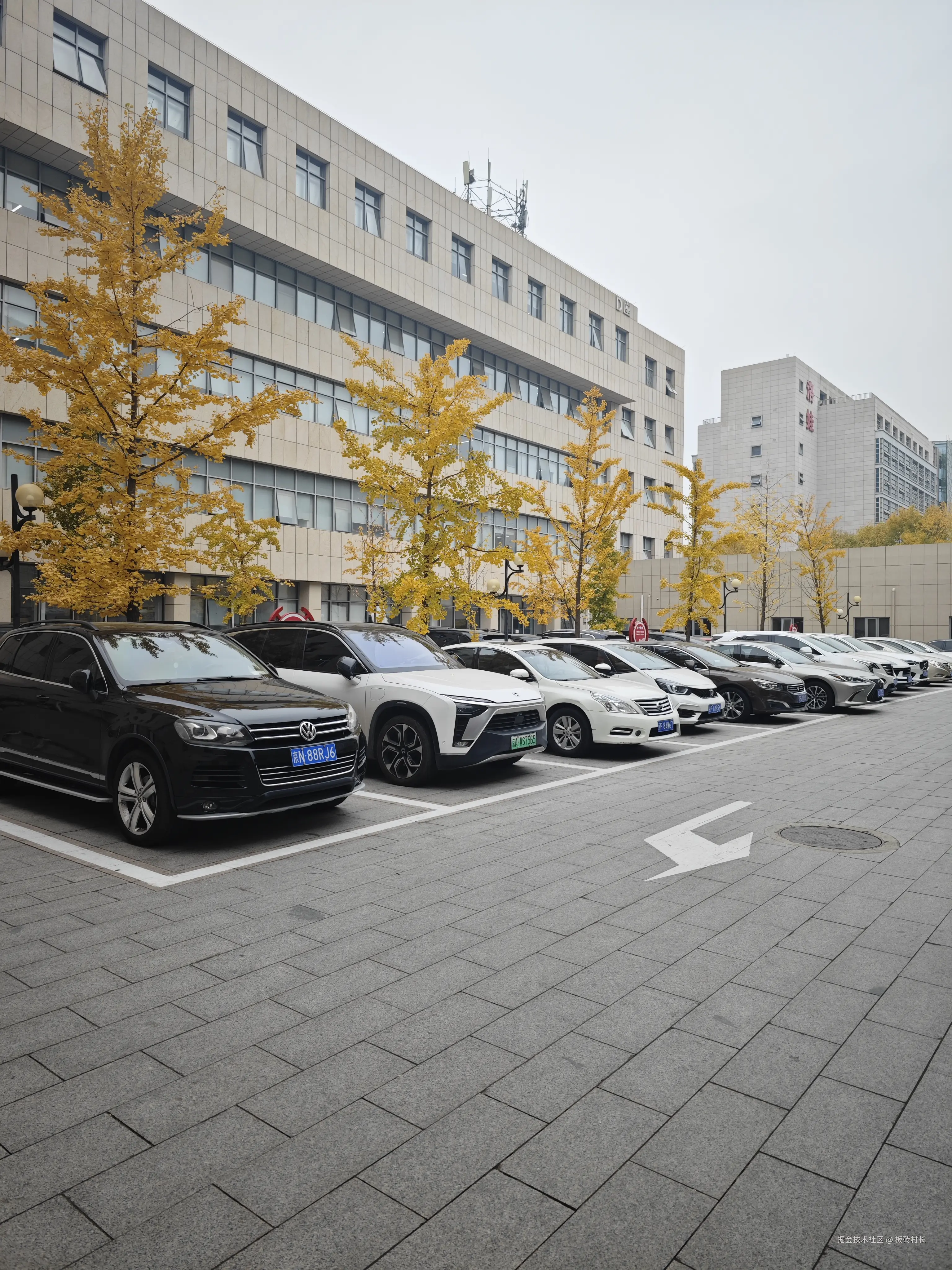 板砖村长于2024-11-01 16:04发布的图片