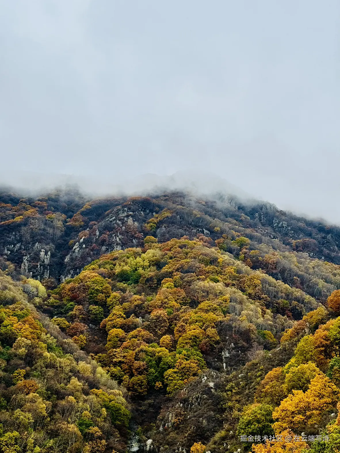 在云端写诗于2025-10-20 10:47发布的图片