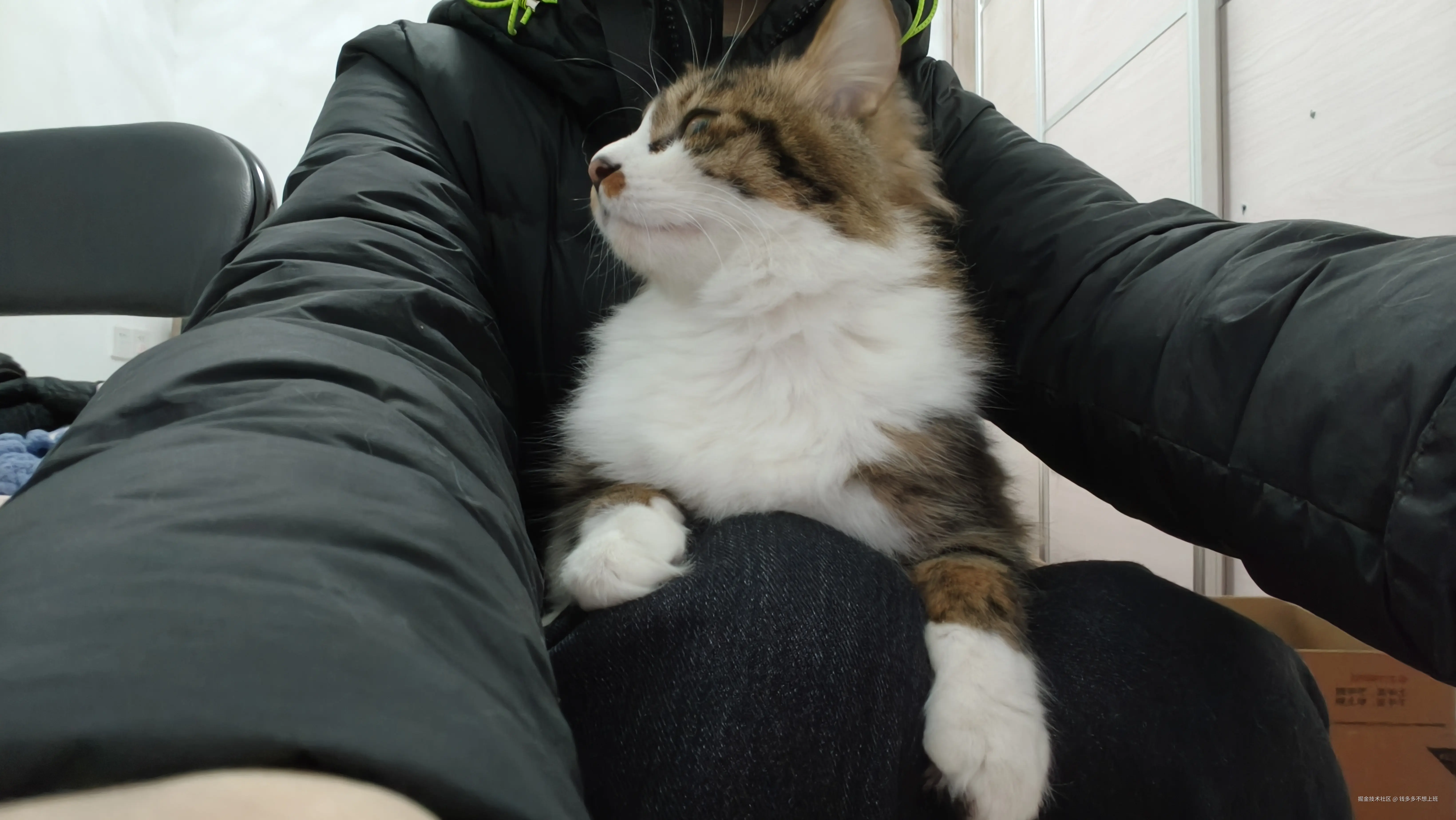 钱多多不想上班于2026-01-21 10:58发布的图片