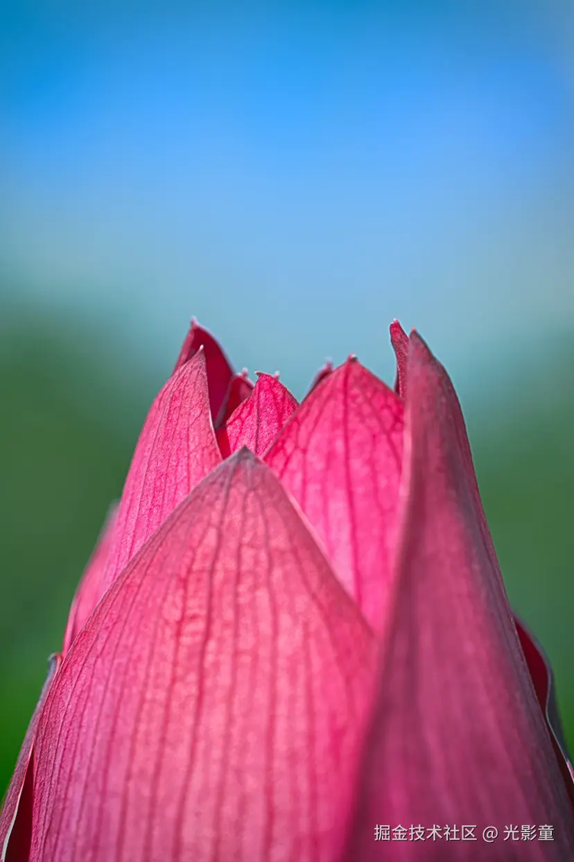 光影童于2025-06-30 06:43发布的图片