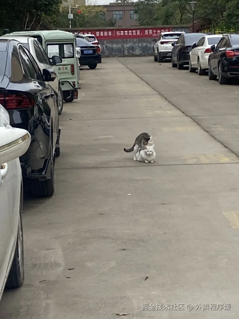 外卖程序媛于2026-04-09 15:19发布的图片