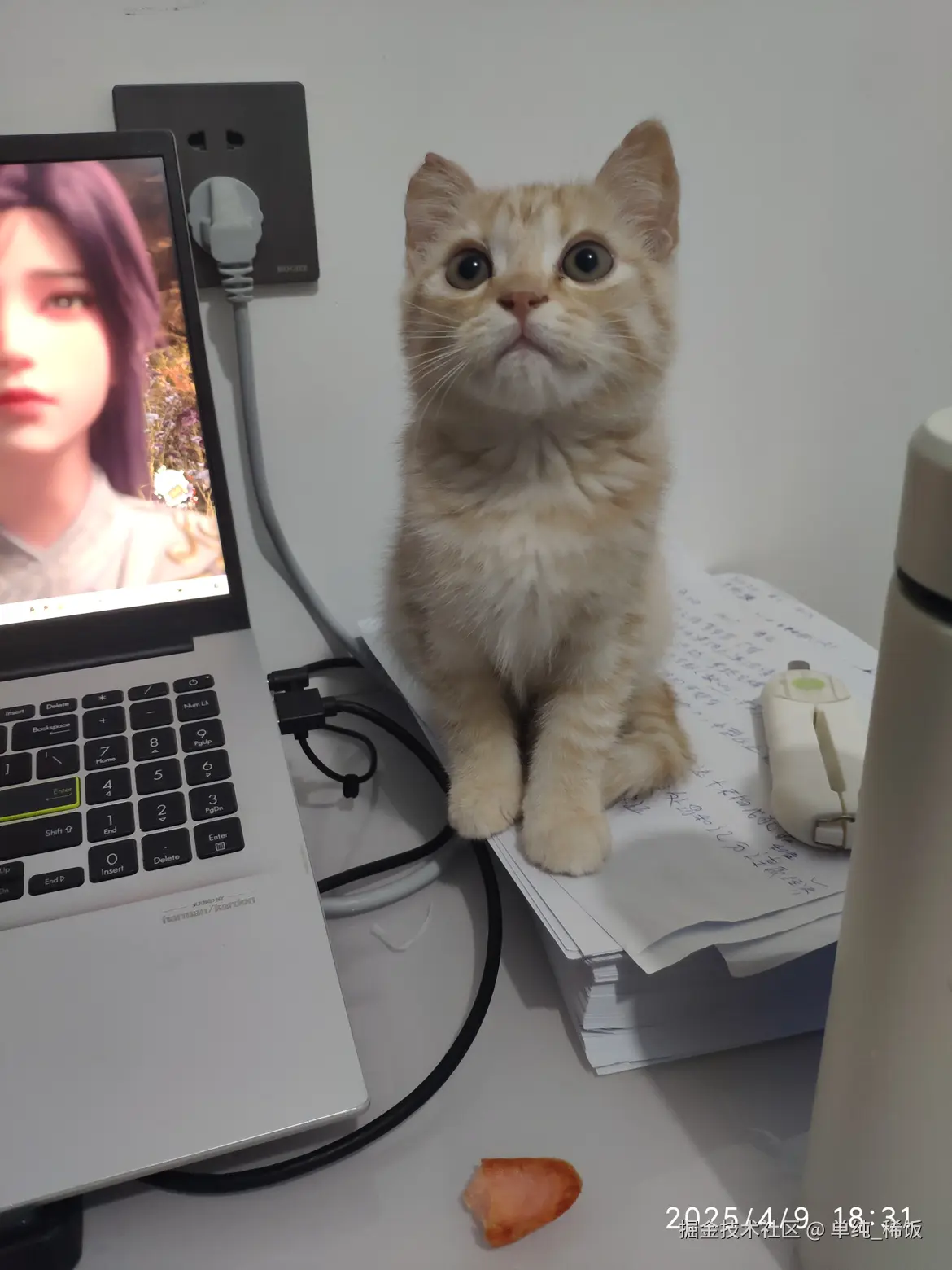 单纯_稀饭于2025-04-10 13:26发布的图片