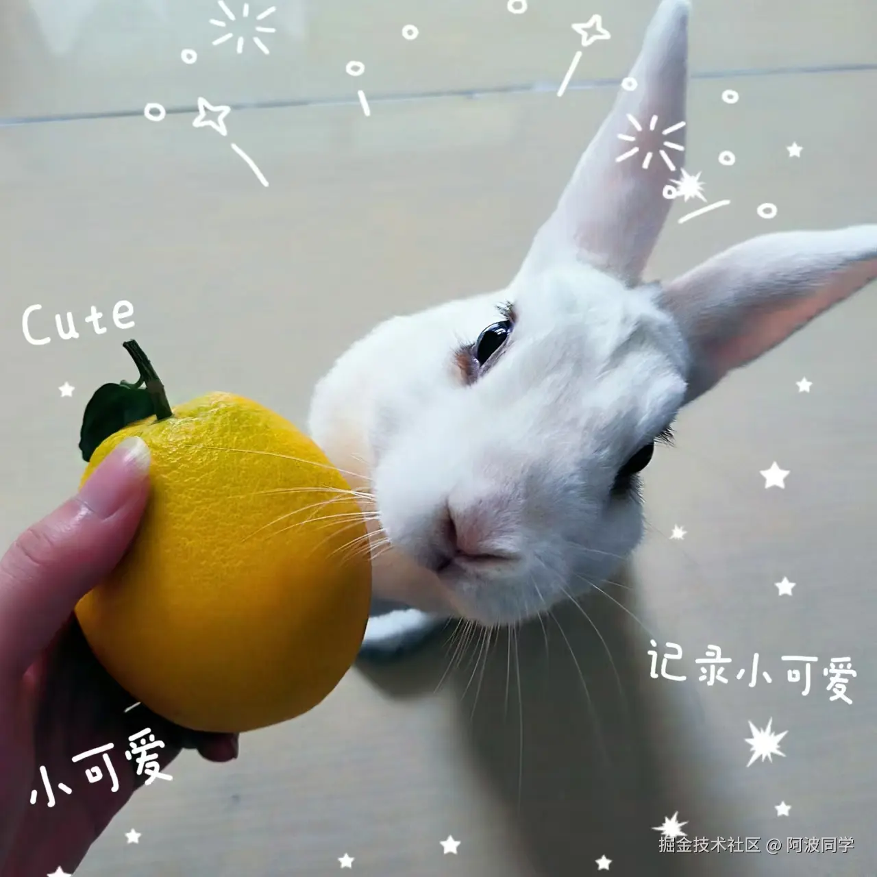 阿波同学于2024-11-07 02:34发布的图片