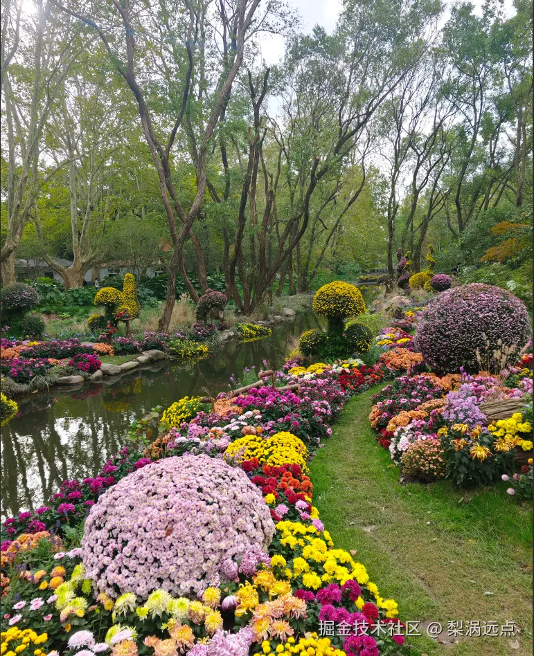 梨涡远点于2024-11-11 09:26发布的图片