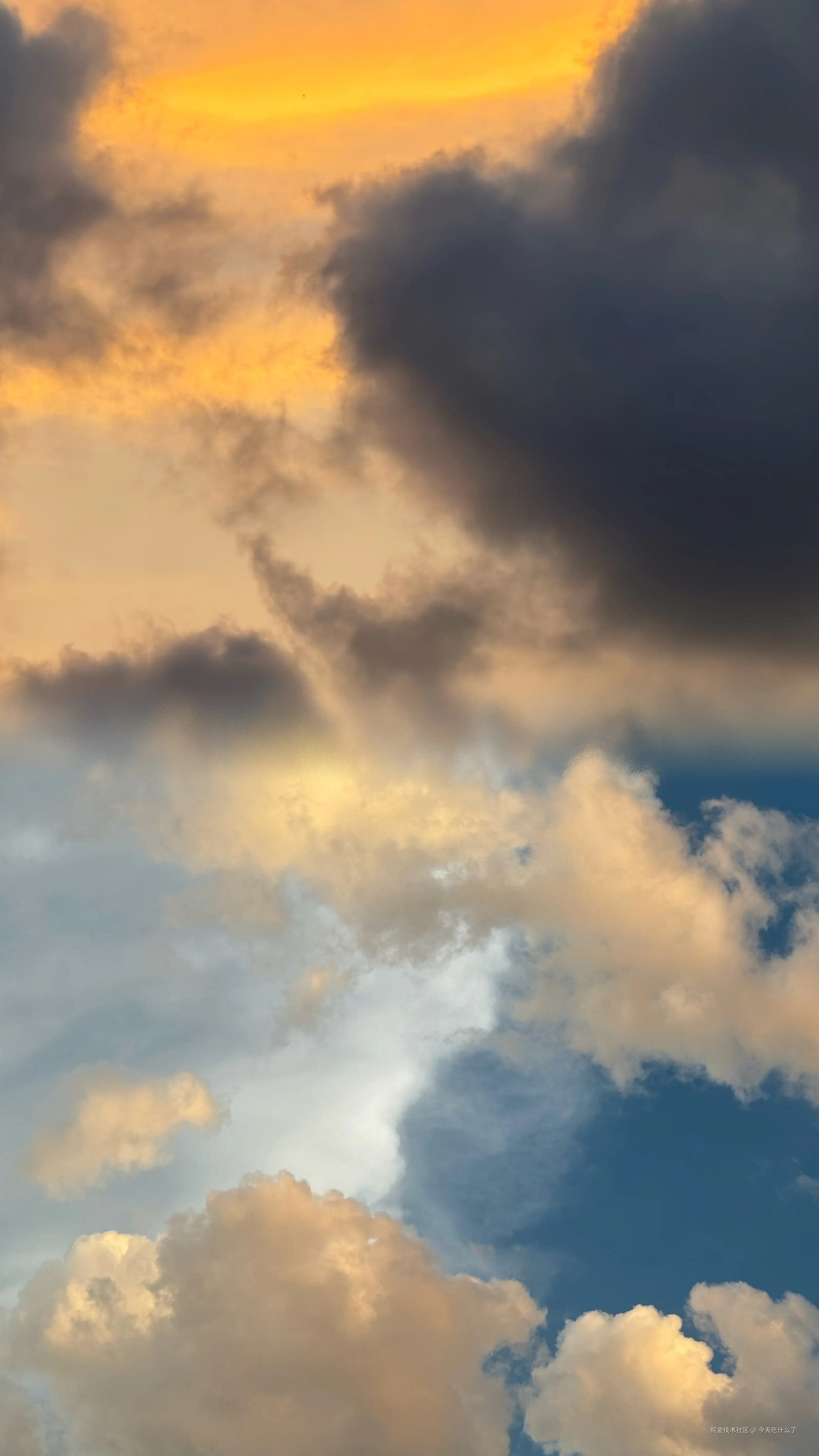 今天吃什么了于2024-08-08 09:47发布的图片