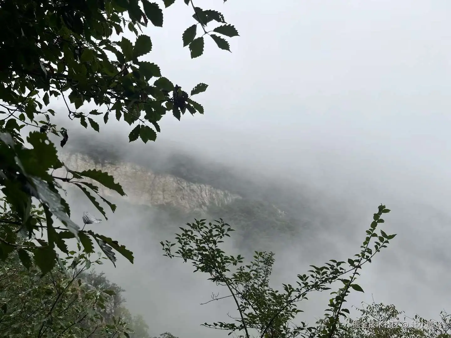 让小熊飞于2024-09-18 10:13发布的图片