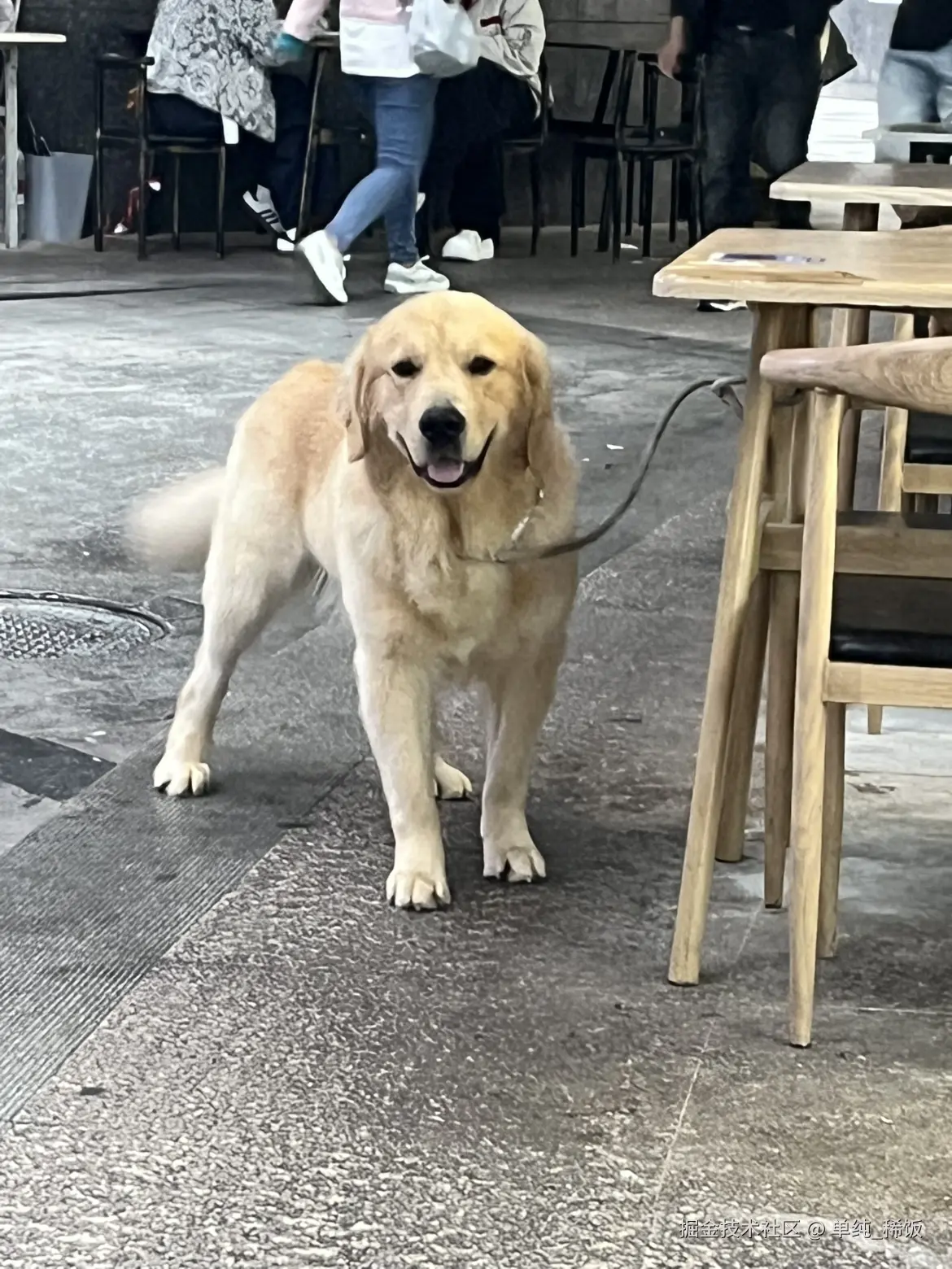 单纯_稀饭于2025-09-22 13:39发布的图片