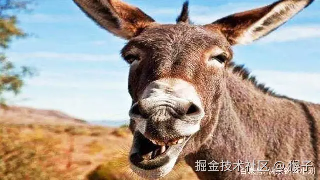 猴子于2024-12-06 15:50发布的图片