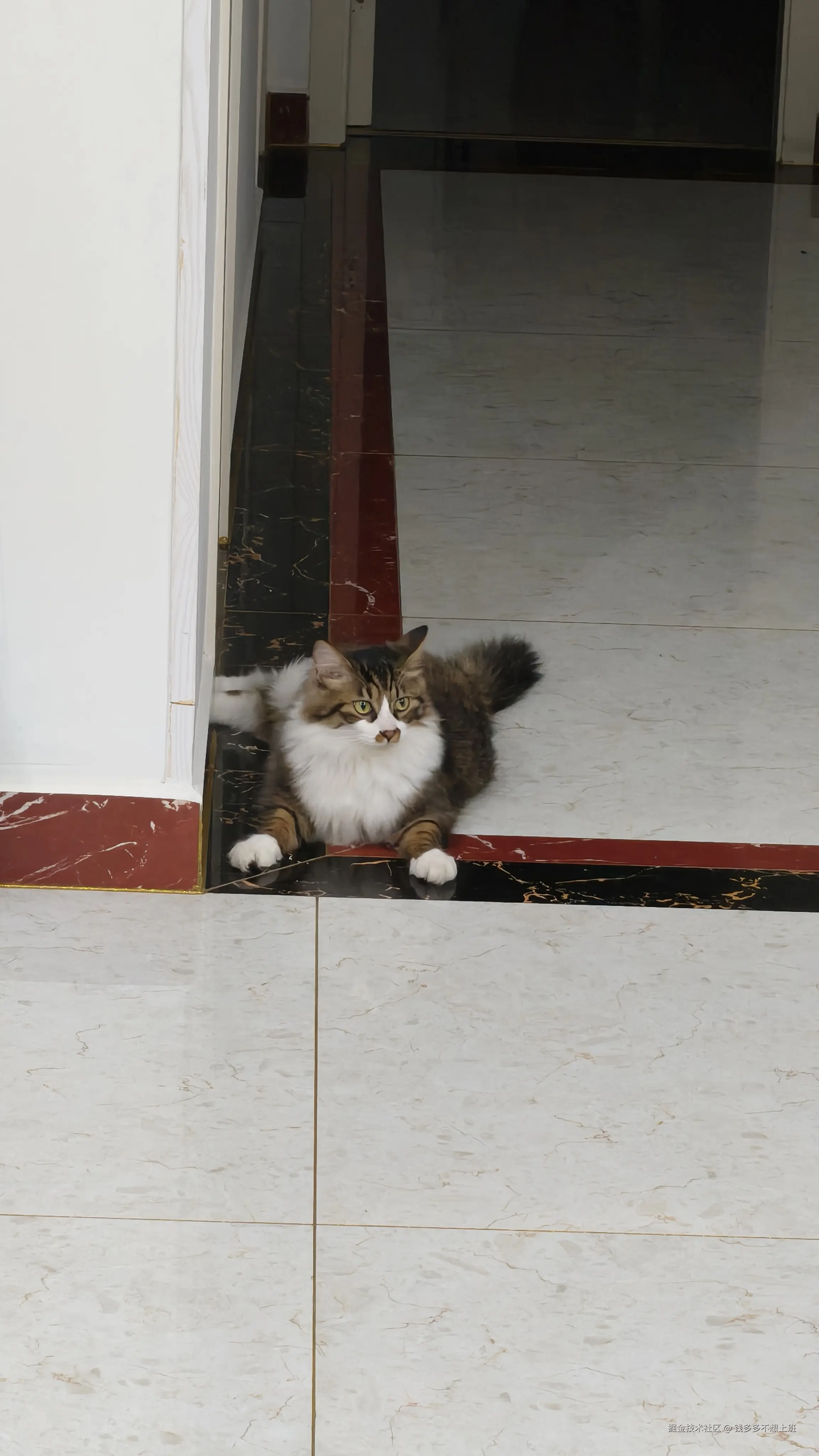 钱多多不想上班于2026-04-07 10:47发布的图片