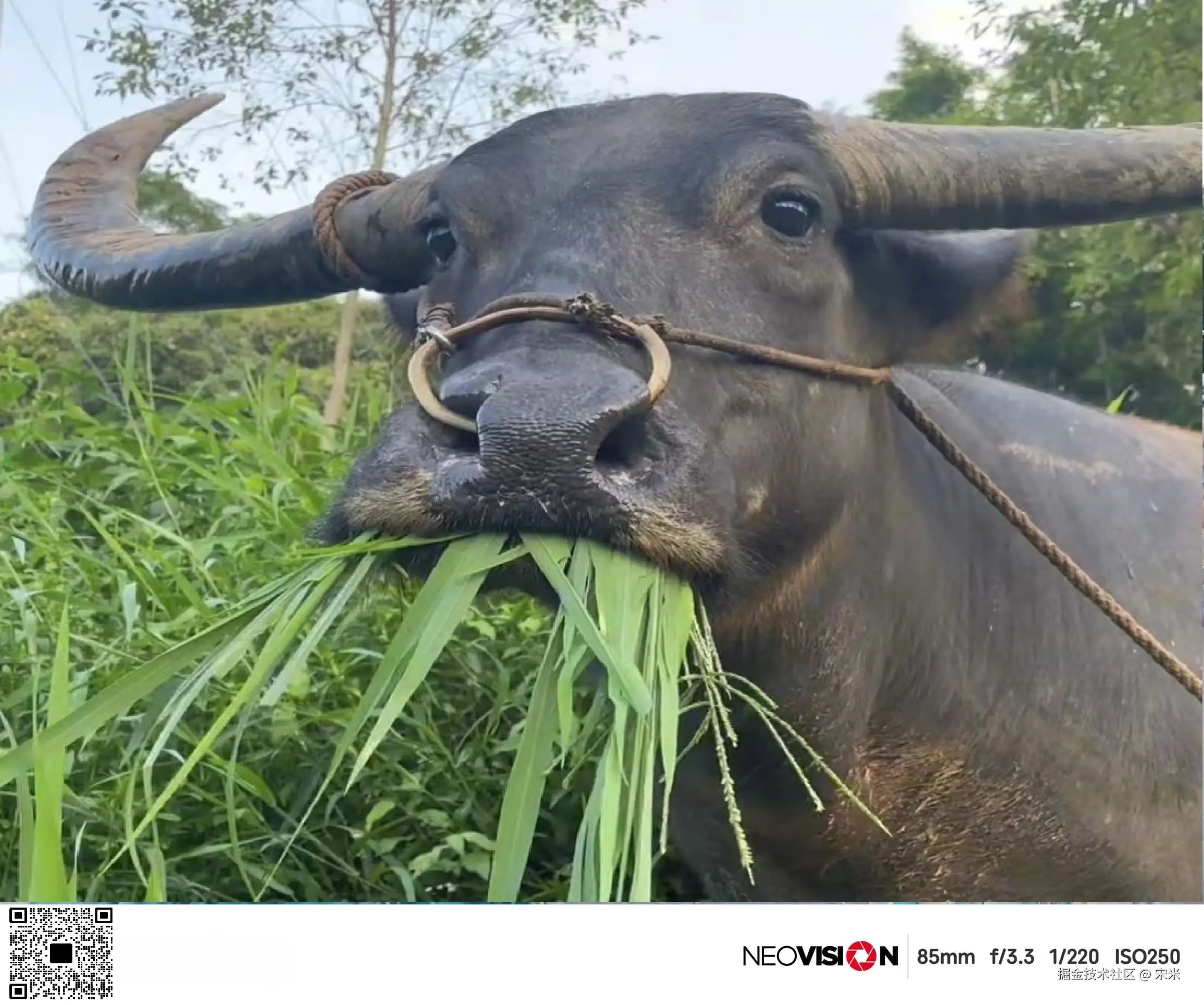 宋米于2024-09-26 09:13发布的图片