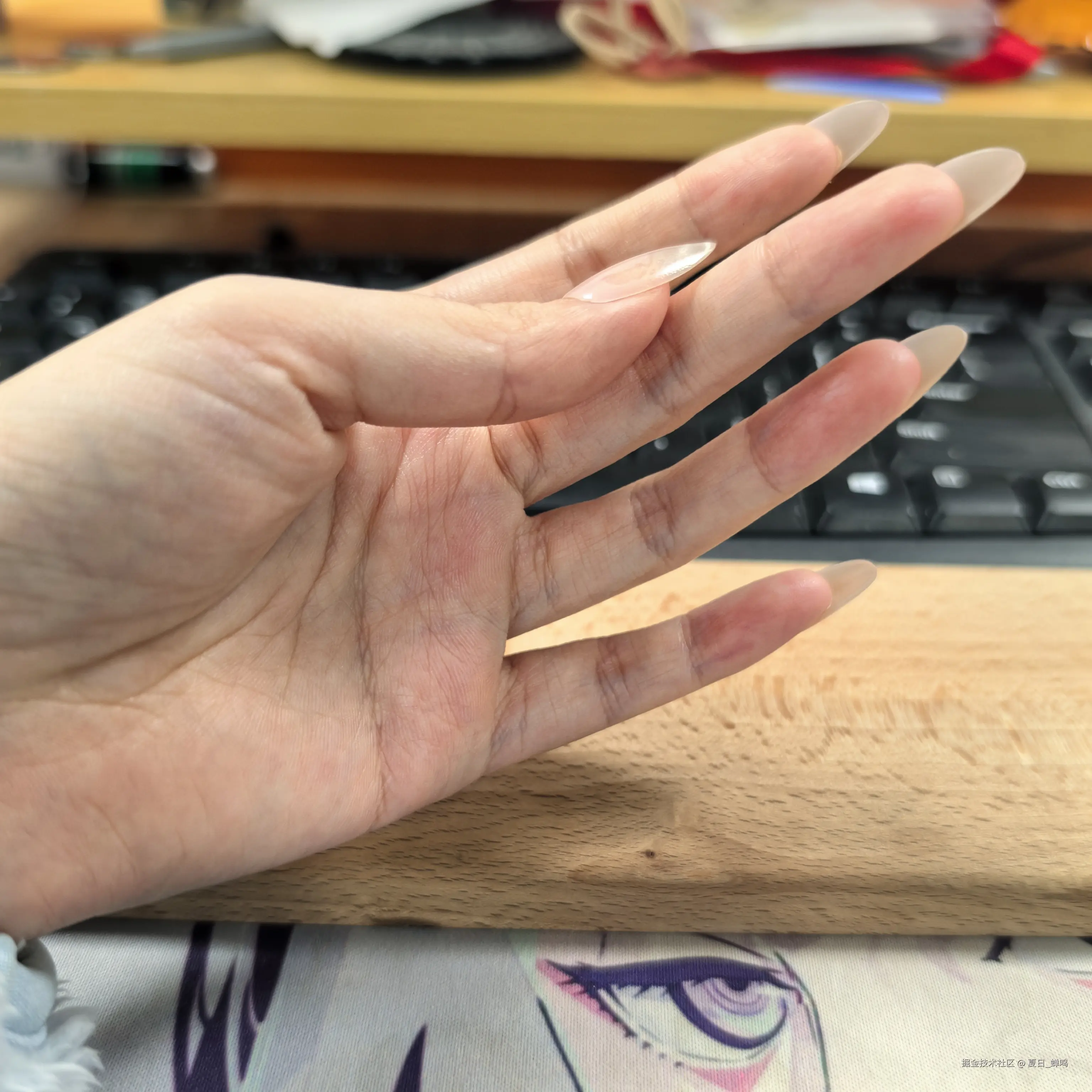 夏日_蝉鸣于2025-01-03 11:00发布的图片