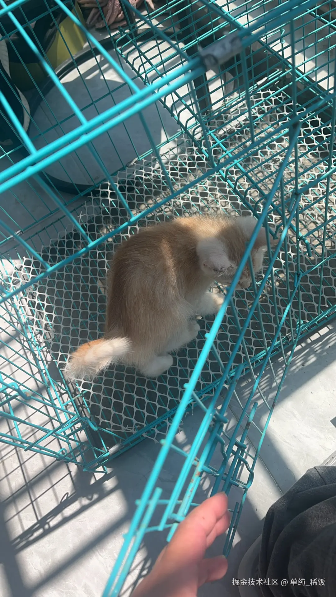 单纯_稀饭于2025-03-18 16:27发布的图片