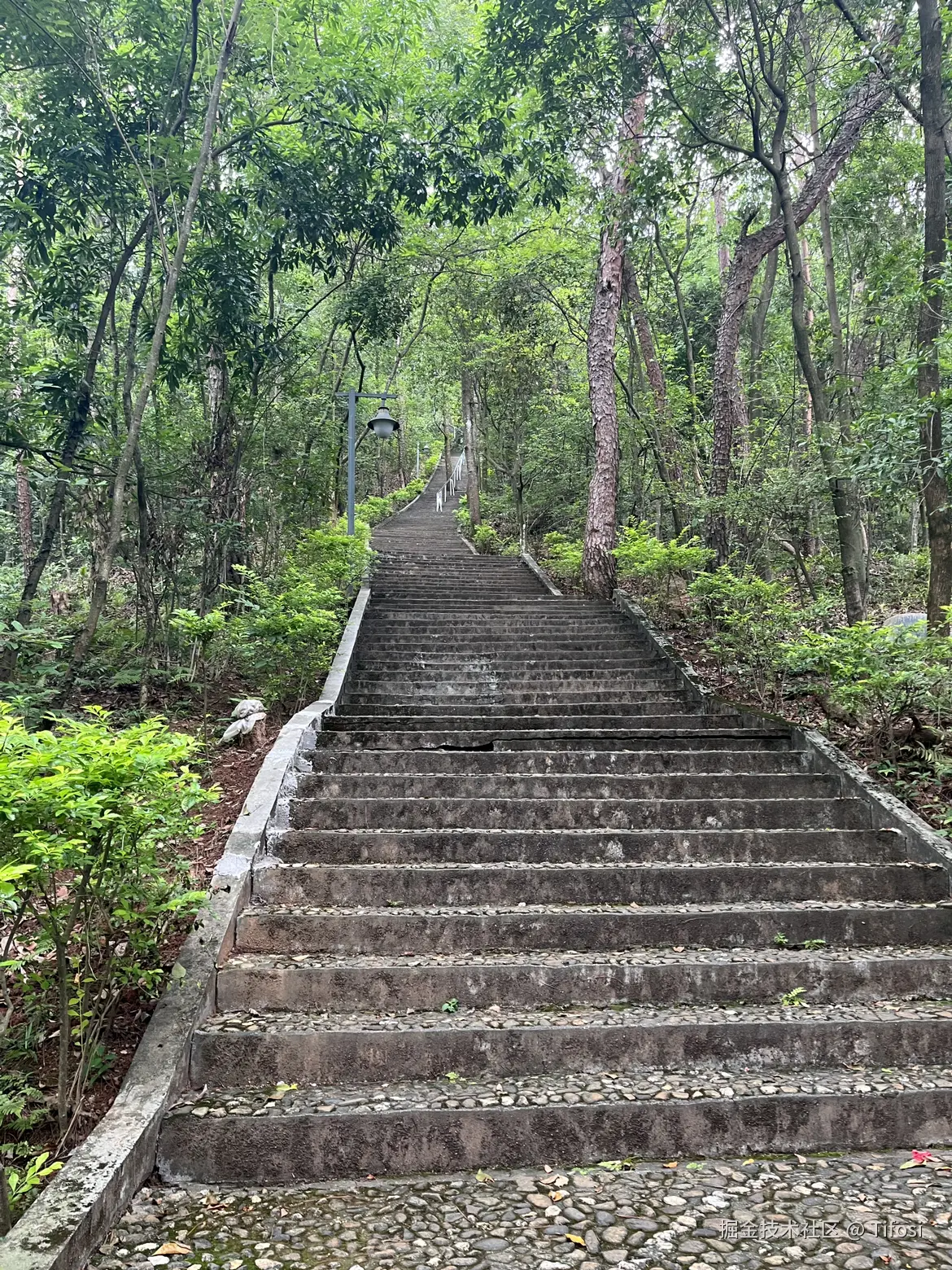 Tifosi于2025-06-02 10:07发布的图片