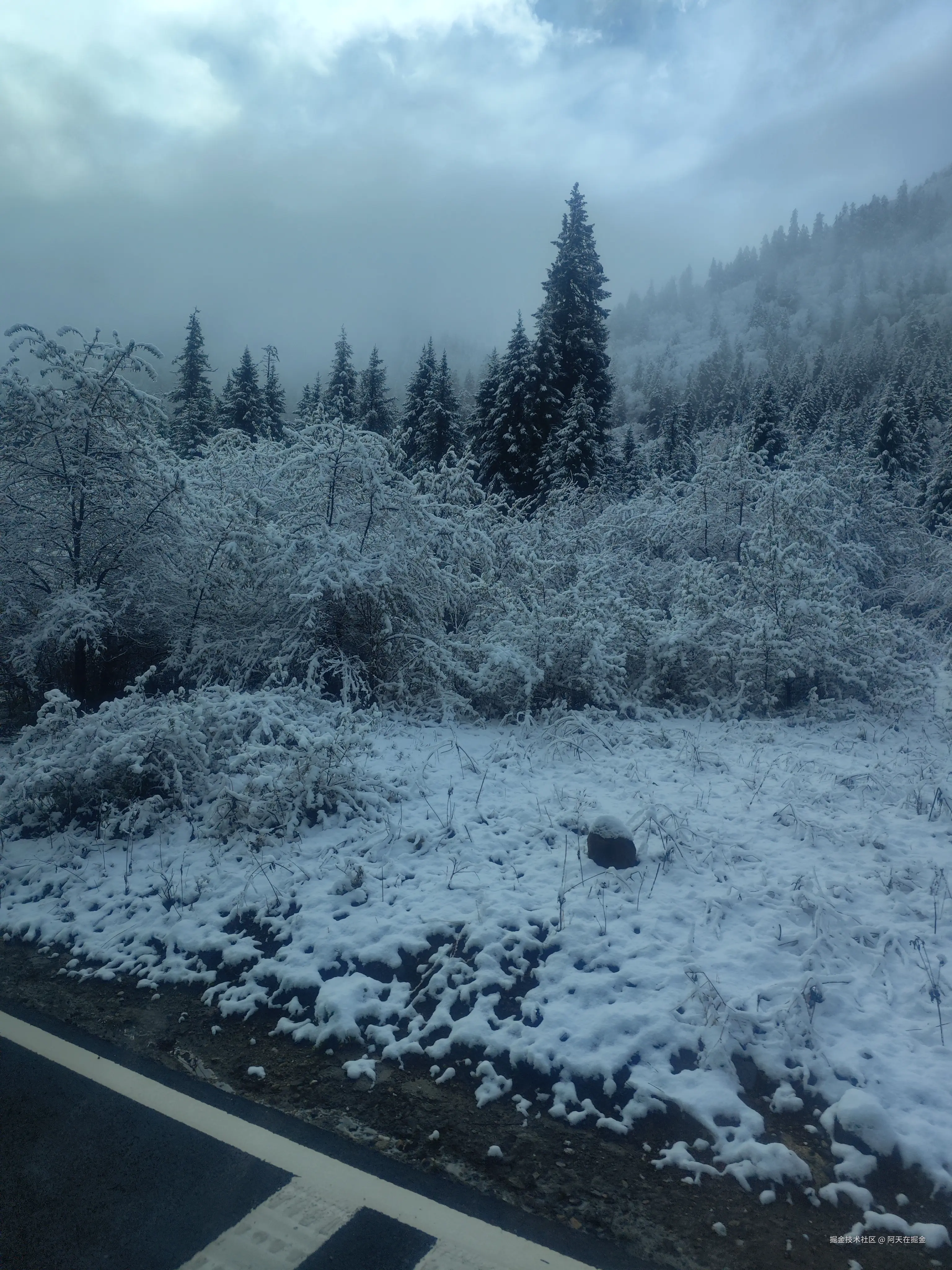 阿天在掘金于2024-11-07 10:39发布的图片