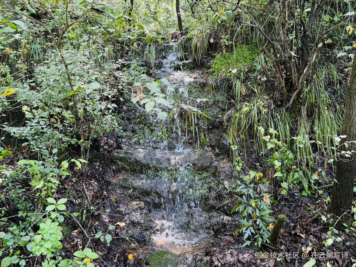 在云端写诗于2025-09-01 15:40发布的图片