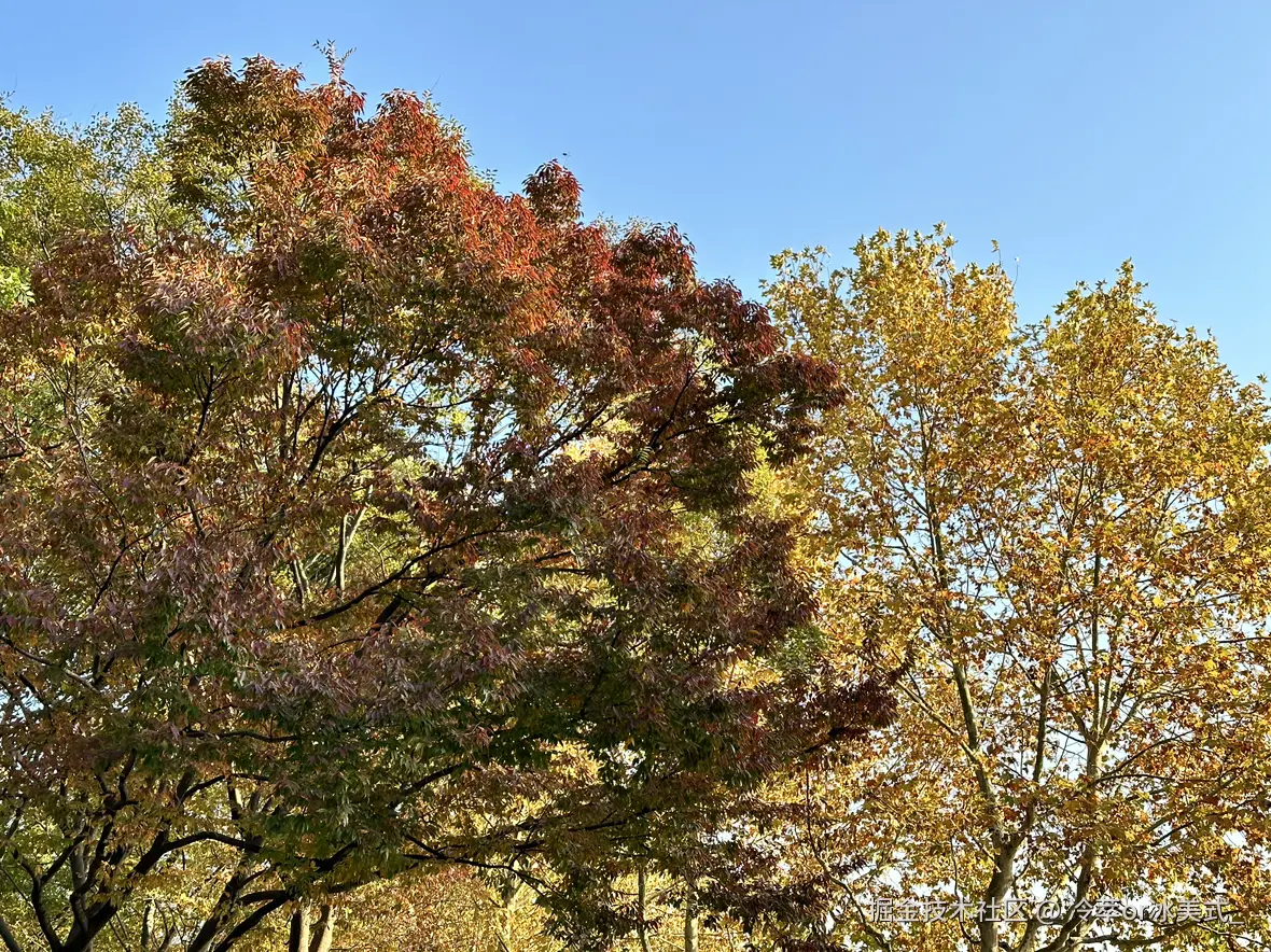 冷萃or冰美式_于2024-12-02 13:09发布的图片