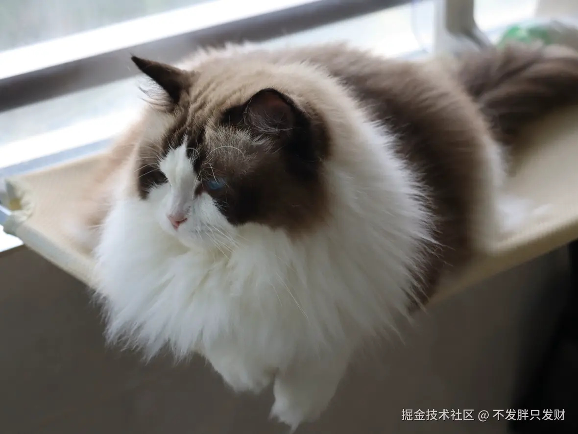 不发胖只发财于2026-08-17 08:25发布的图片