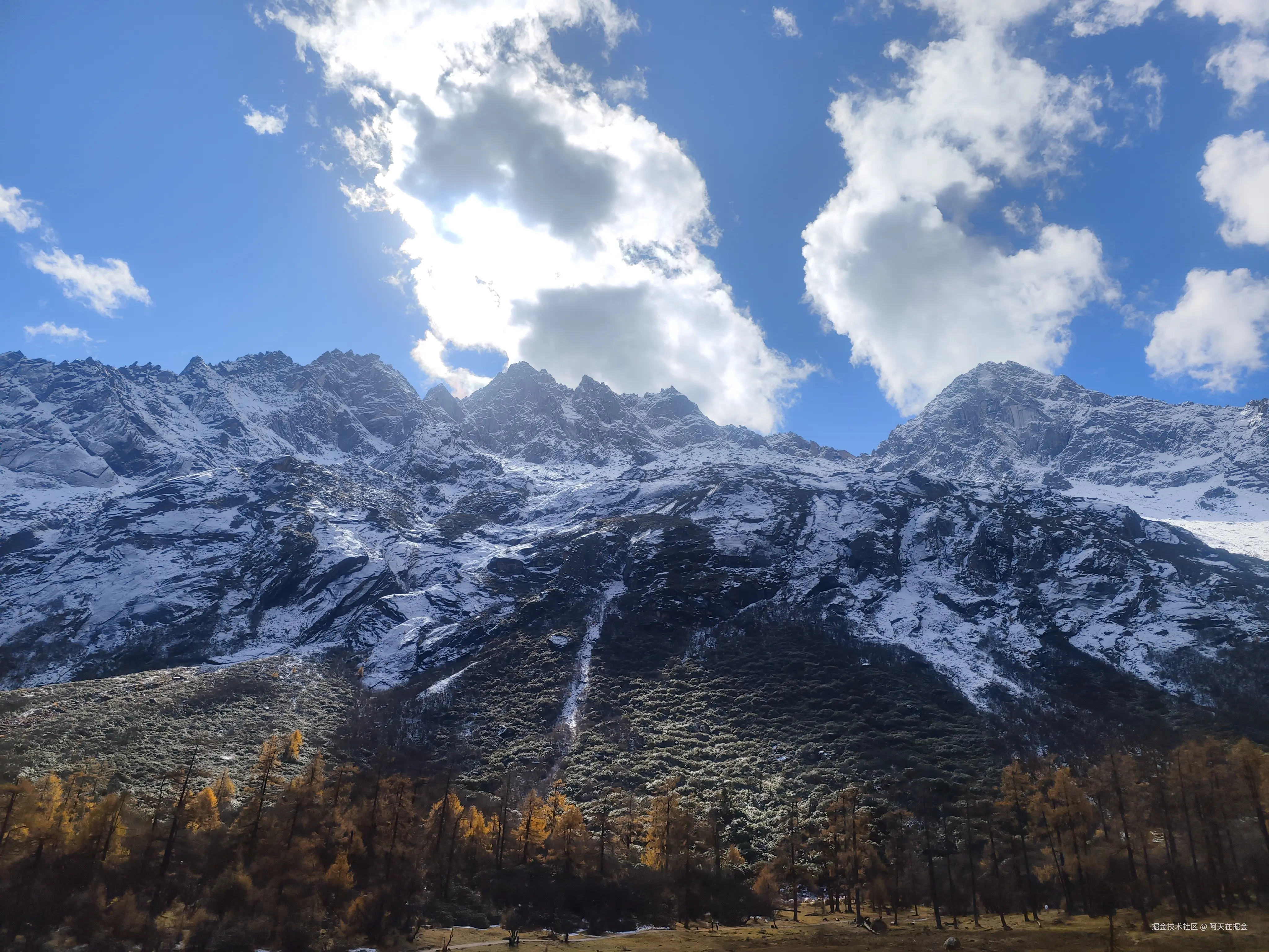 阿天在掘金于2024-11-06 15:00发布的图片