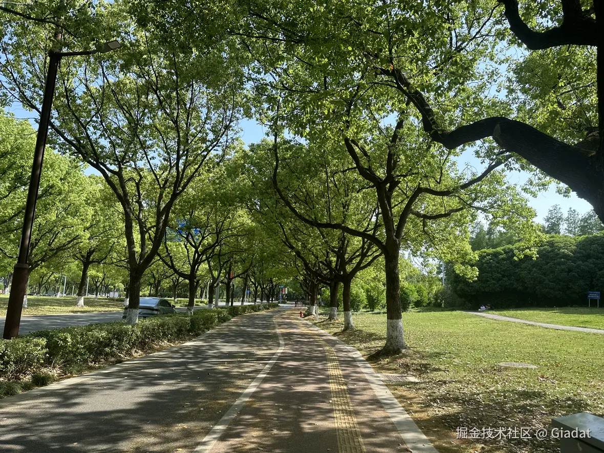 Giadat于2025-05-06 10:47发布的图片