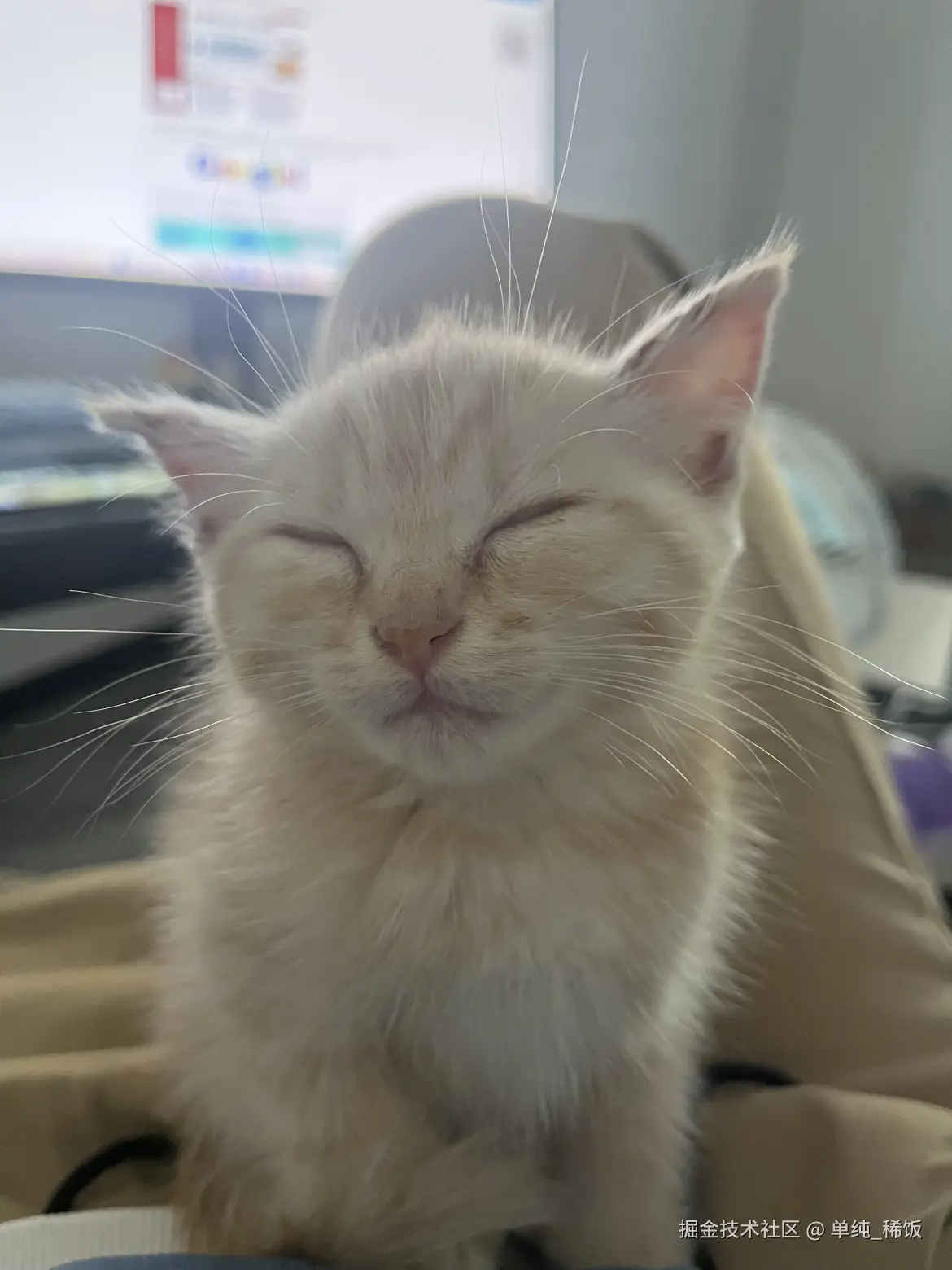 单纯_稀饭于2025-03-03 10:52发布的图片