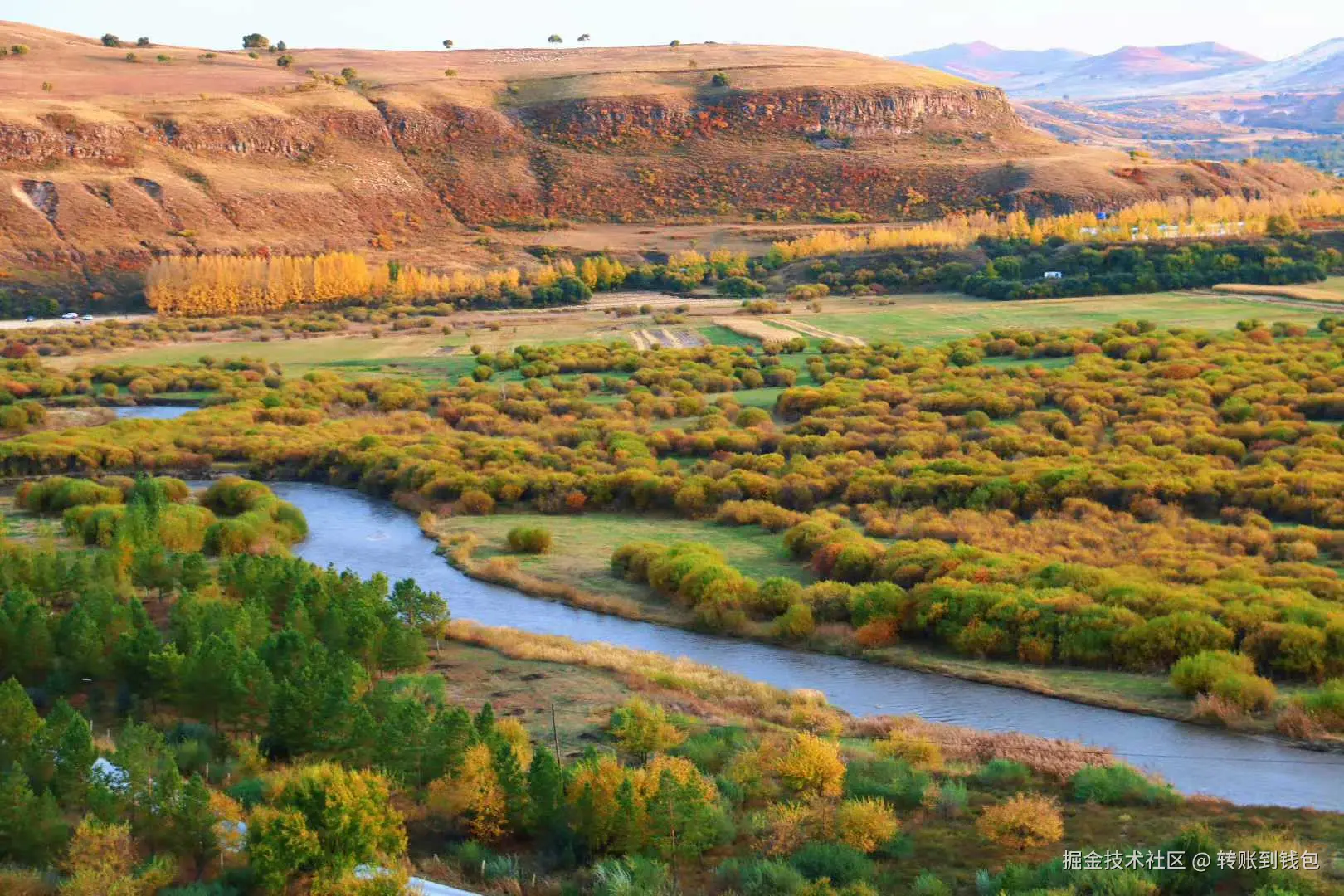 转账到钱包于2025-10-09 11:31发布的图片