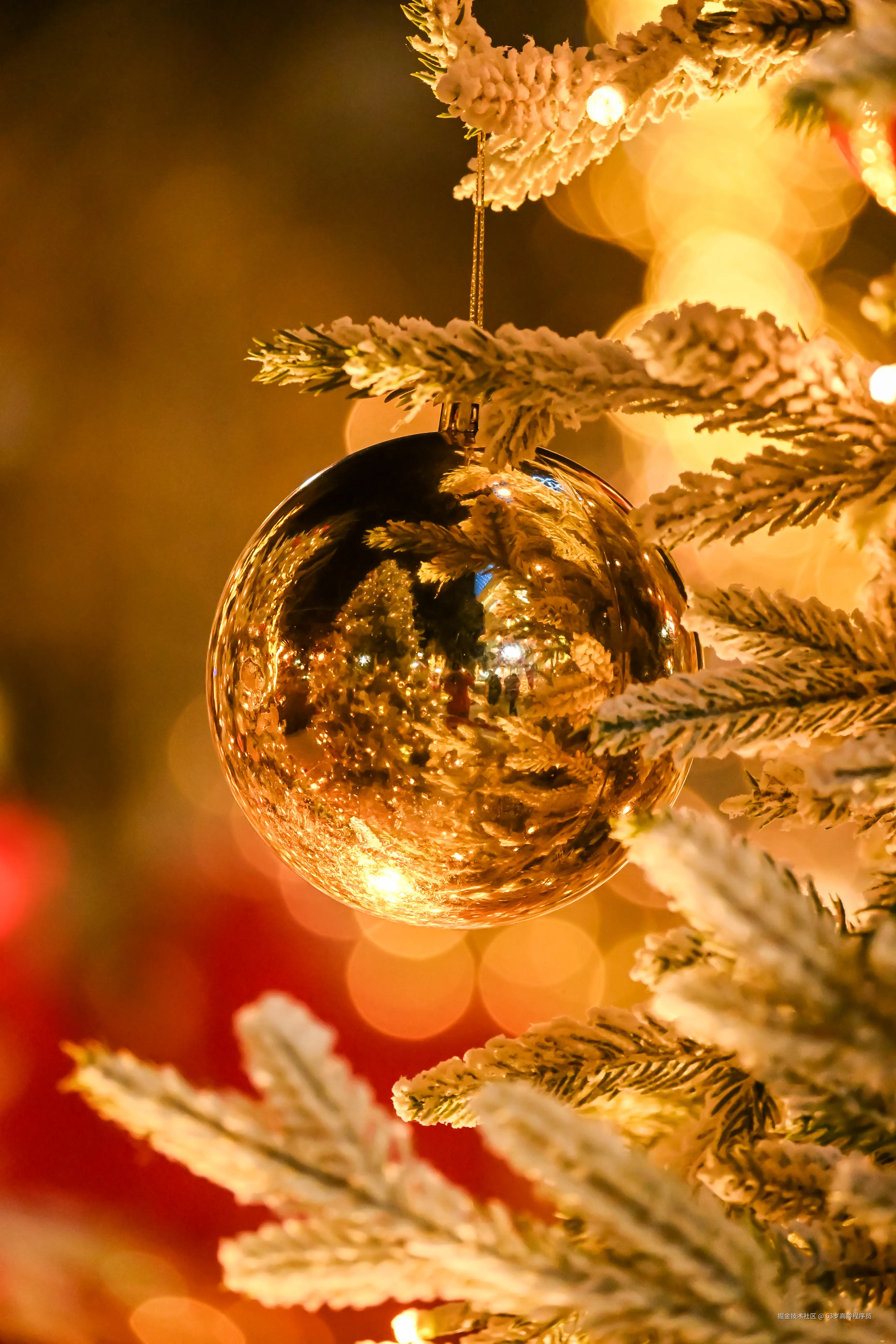 63岁高龄程序员于2025-12-19 09:26发布的图片