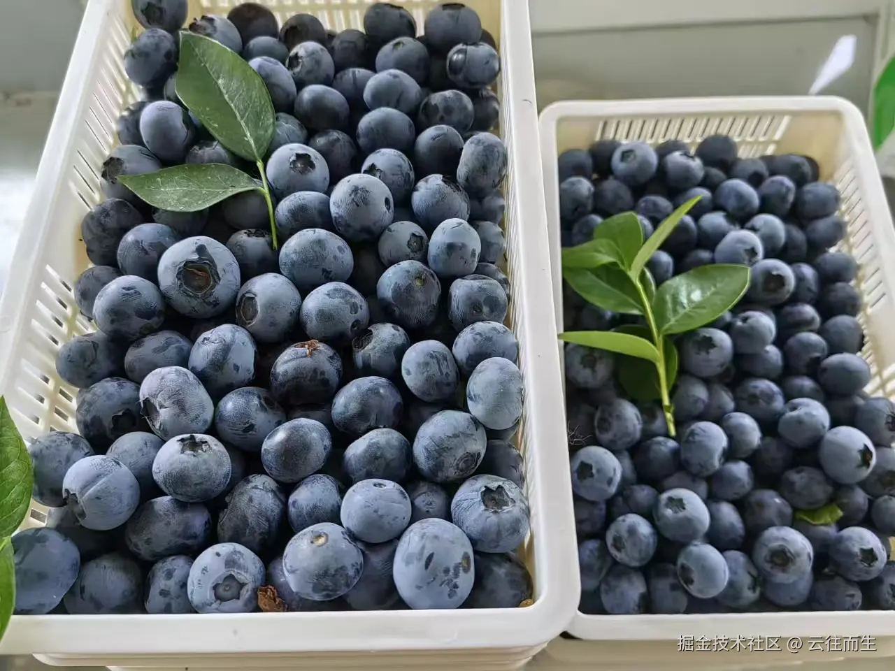 云往而生于2025-04-15 16:20发布的图片