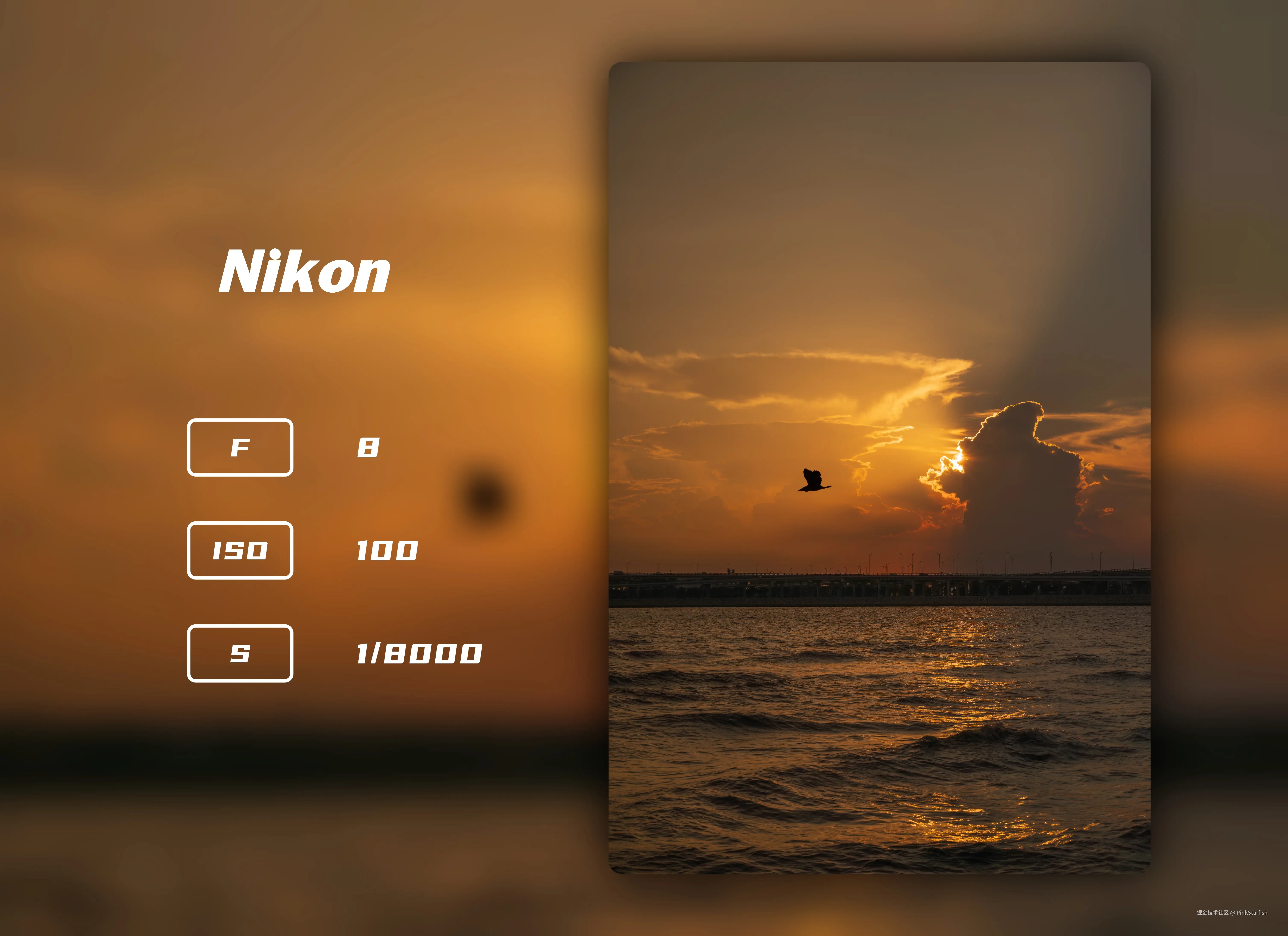 PinkStarfish于2025-06-10 02:49发布的图片